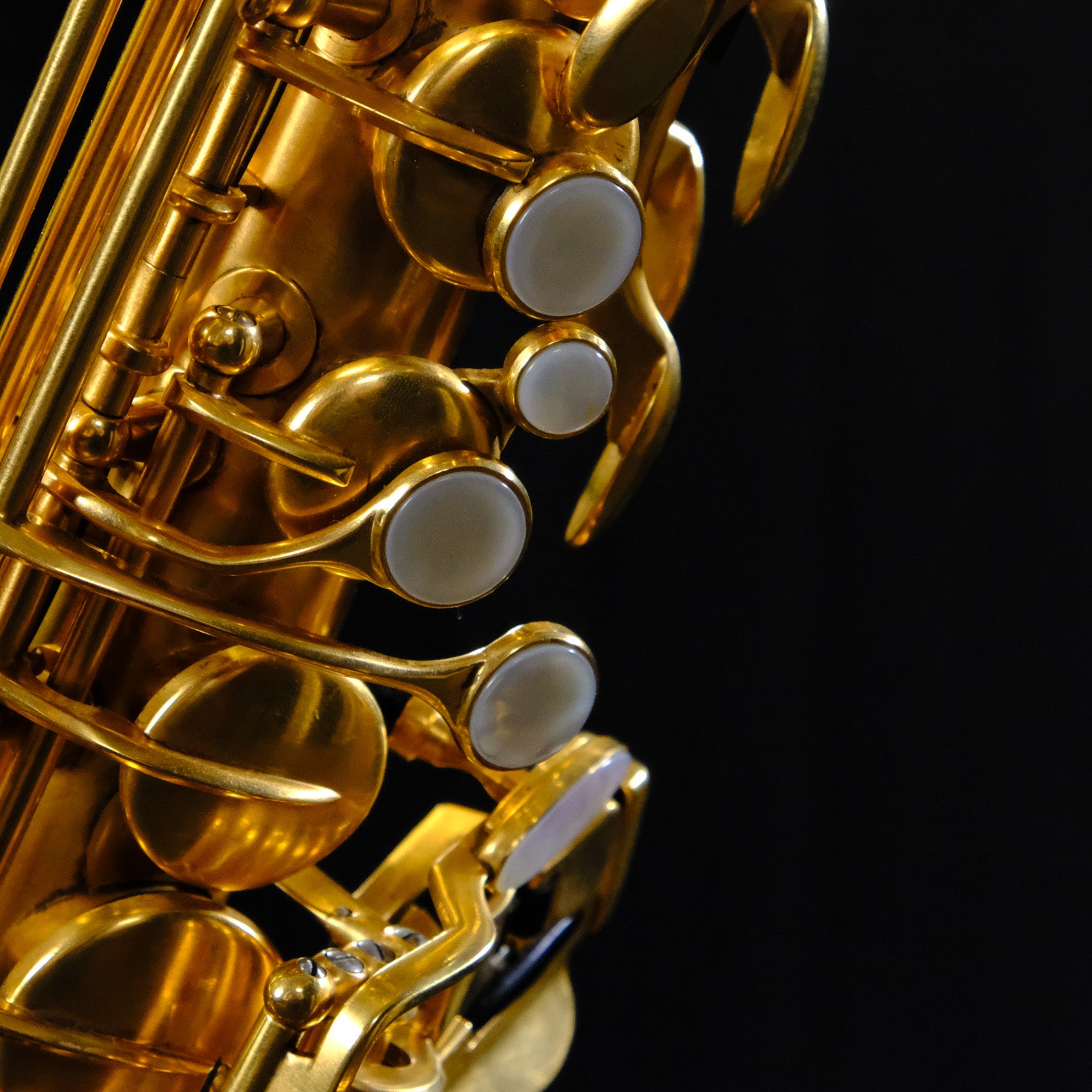 Rampone & Cazzani Solista Alto Saxophone (Gold Plated Copper)