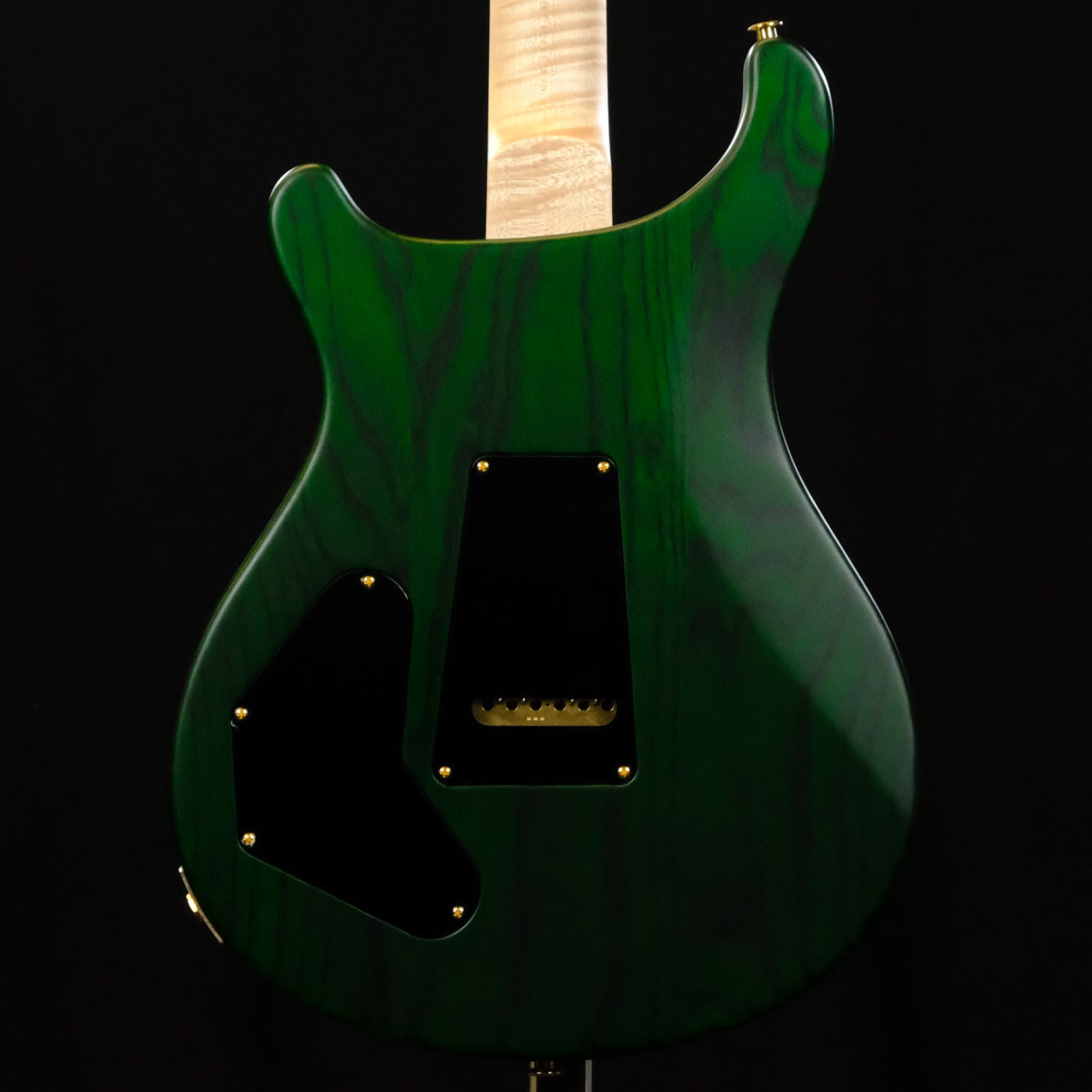 PRS Wood Library DGT Electric Guitar with Bird Inlays - Jade
