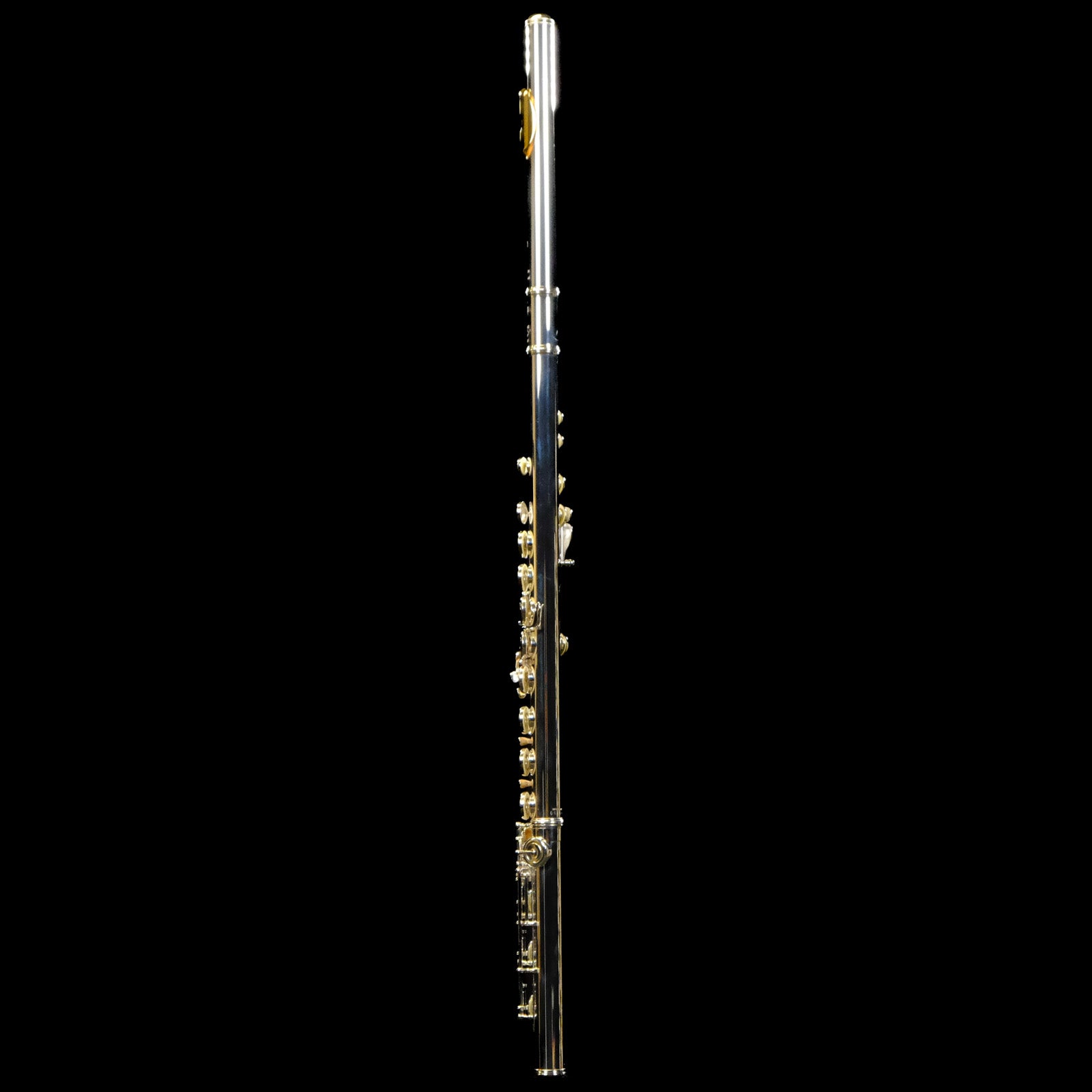 Yamaha 600 Series Professional Flute (Gold-Plated Lip Plate) - YFL-677HCT/LPGP
