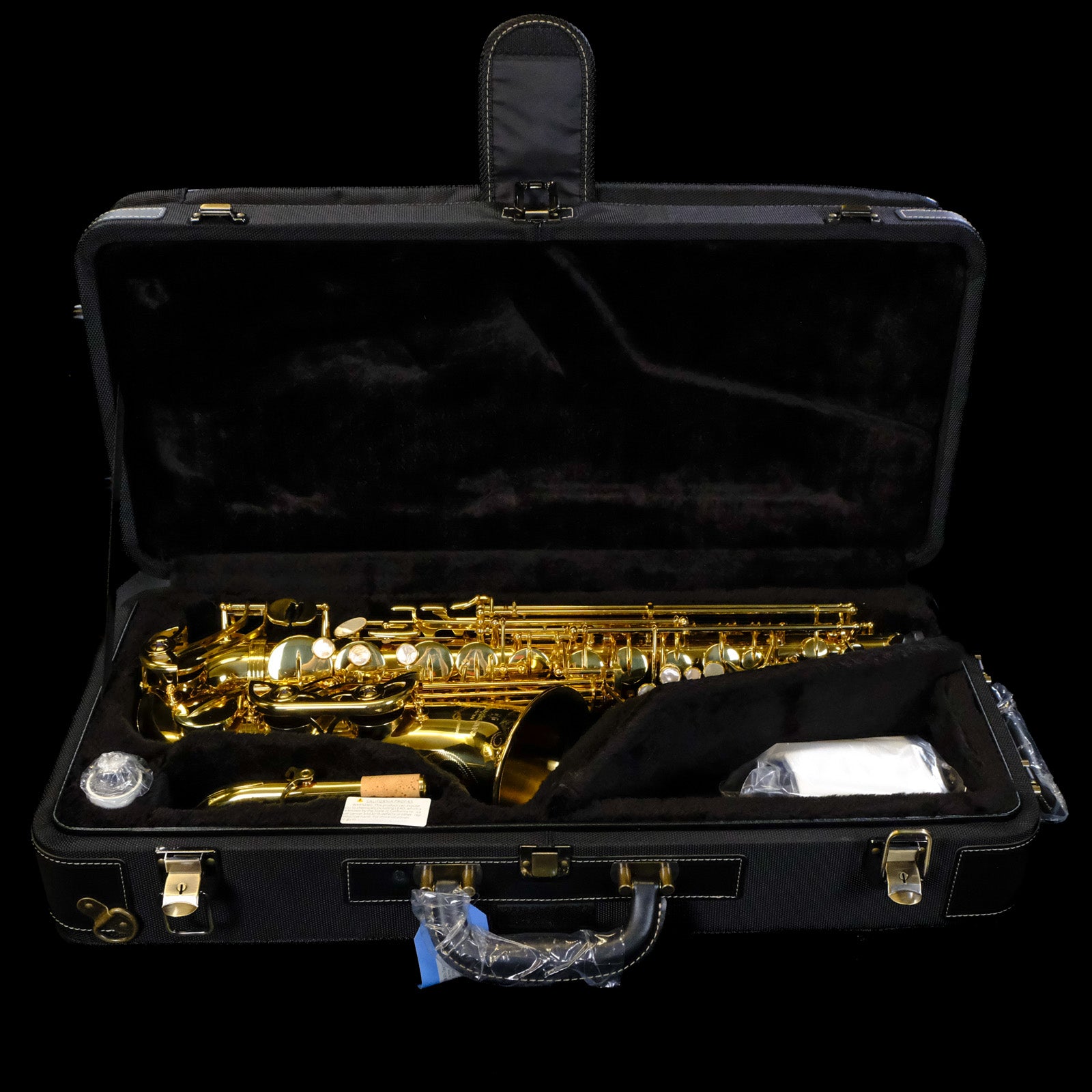 Yanagisawa AWO10 Elite Alto Saxophone - Professional Series