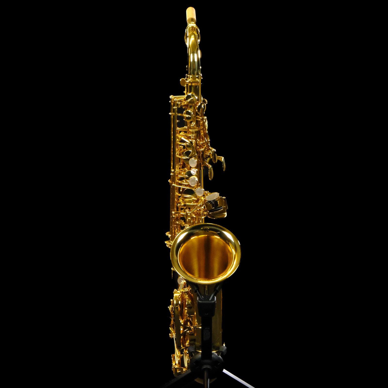 Yanagisawa AWO10 Elite Alto Saxophone - Professional Series