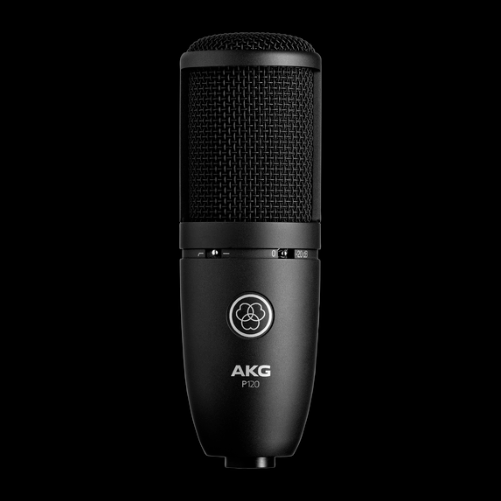 AKG P120 General Purpose Pro Studio Mic - Palen Music