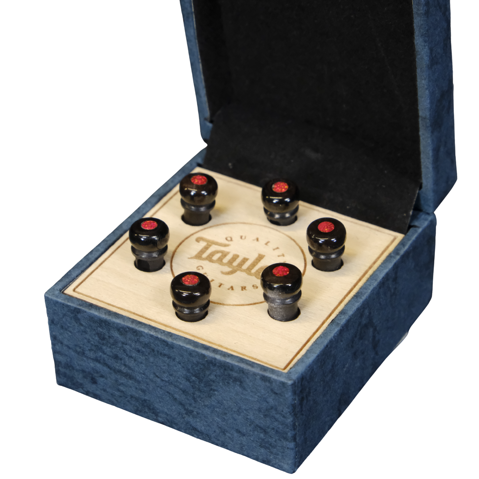 Taylor Water Buffalo Horn Bone Bridge Pin Set