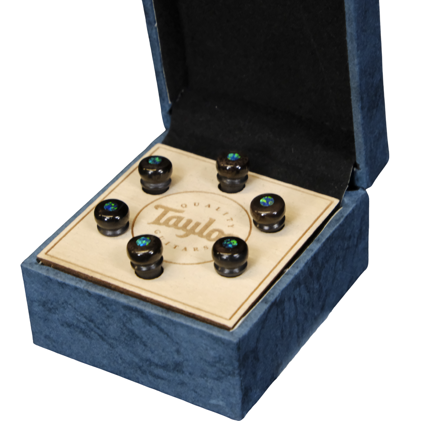 Taylor Water Buffalo Horn Bone Bridge Pin Set