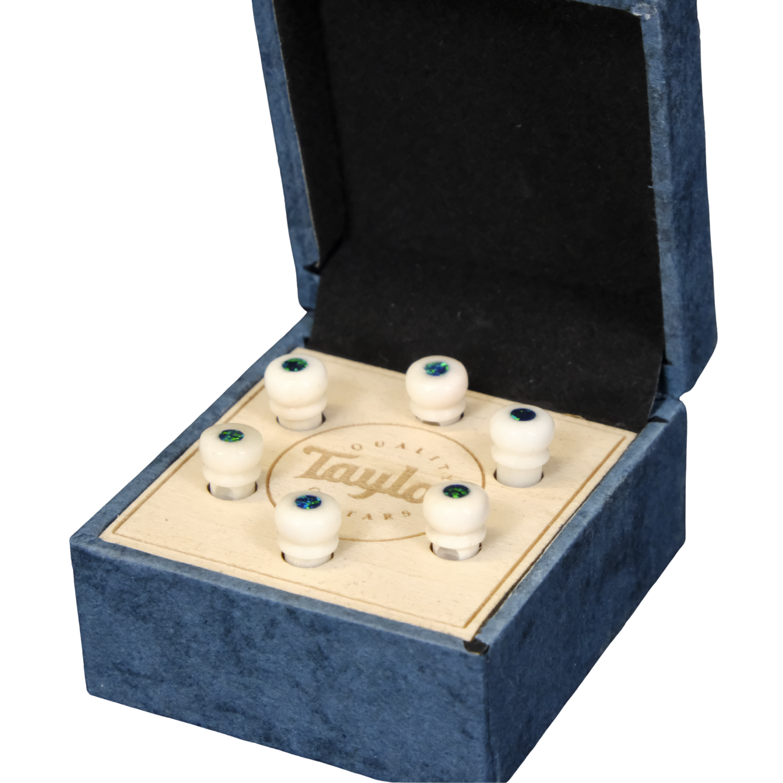 Taylor Water Buffalo Horn Bone Bridge Pin Set