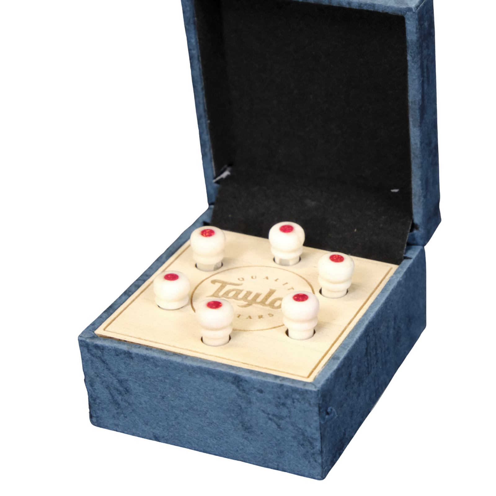 Taylor Water Buffalo Horn Bone Bridge Pin Set