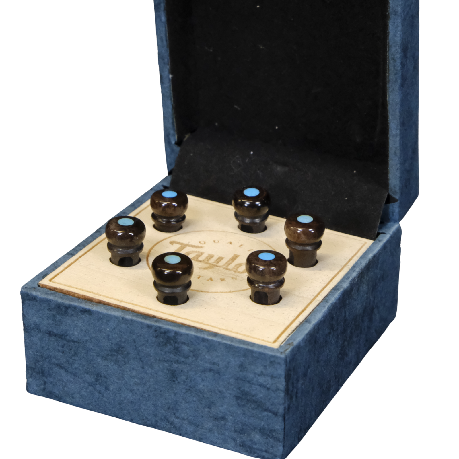 Taylor Water Buffalo Horn Bone Bridge Pin Set