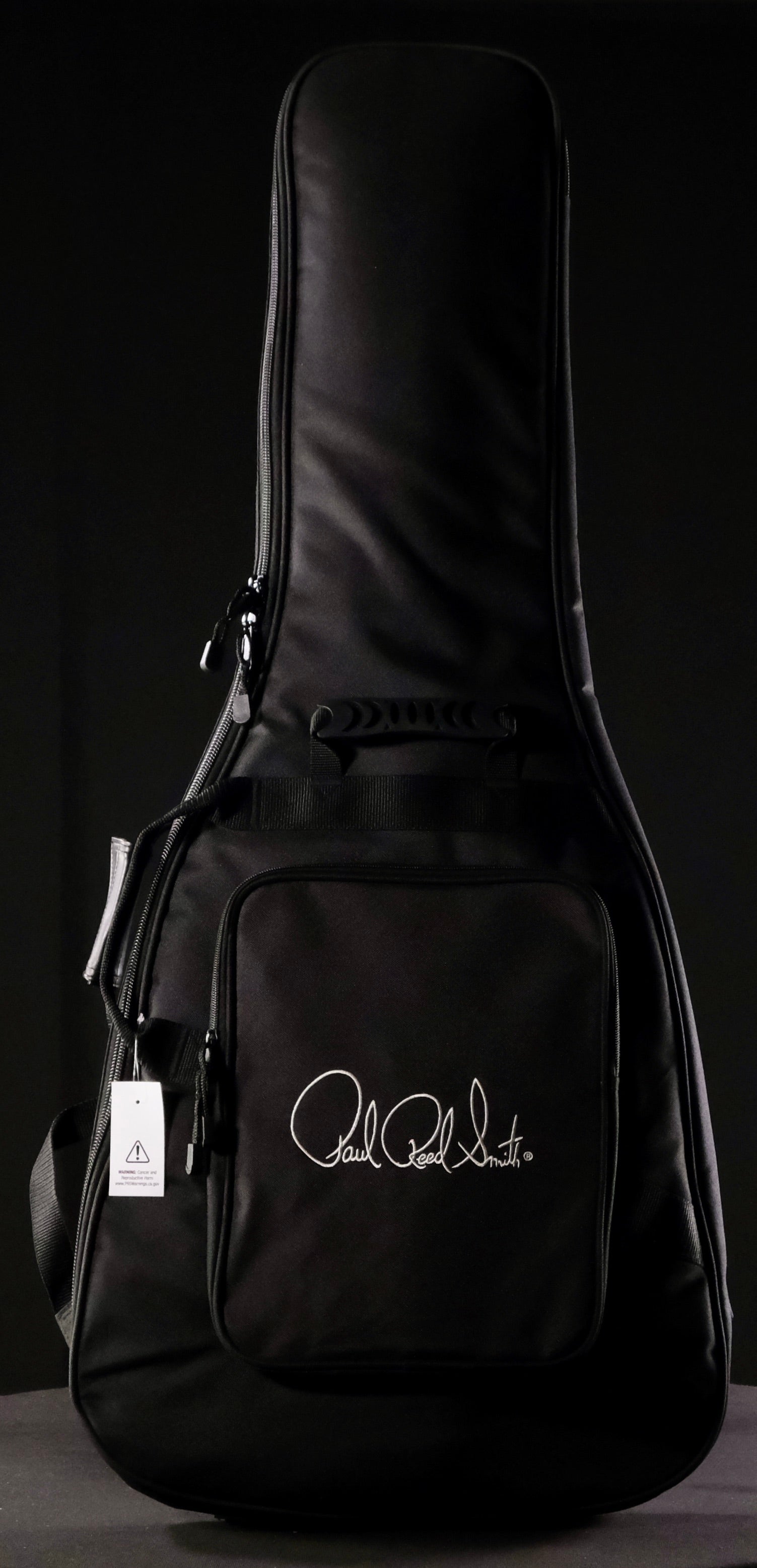 PRS CE 24 Electric Guitar - Amber Smokeburst - Palen Music