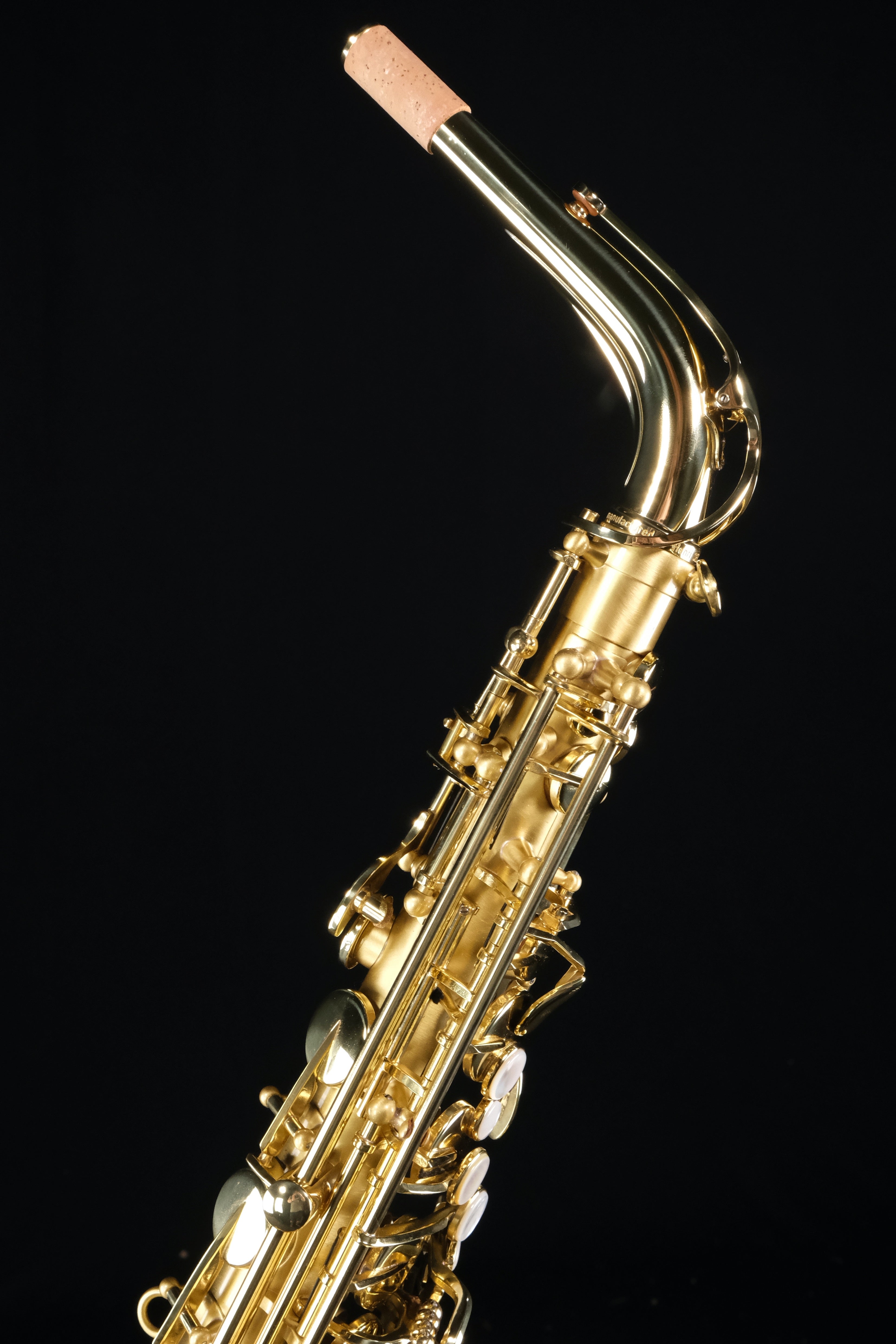 Selmer SAS711M Professional Alto Saxophone (Matte Finish) - Palen Music