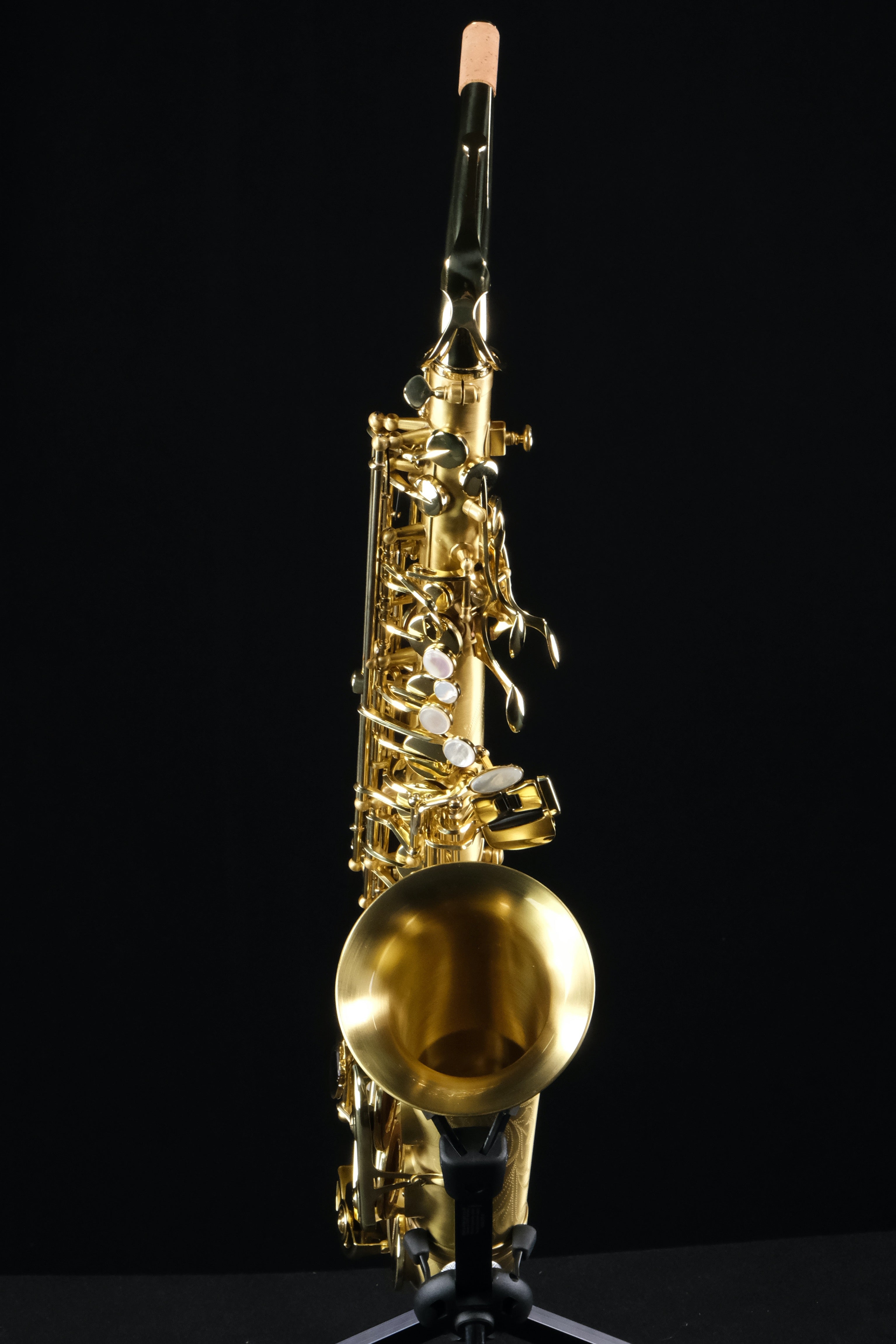 Selmer SAS711M Professional Alto Saxophone (Matte Finish) - Palen Music