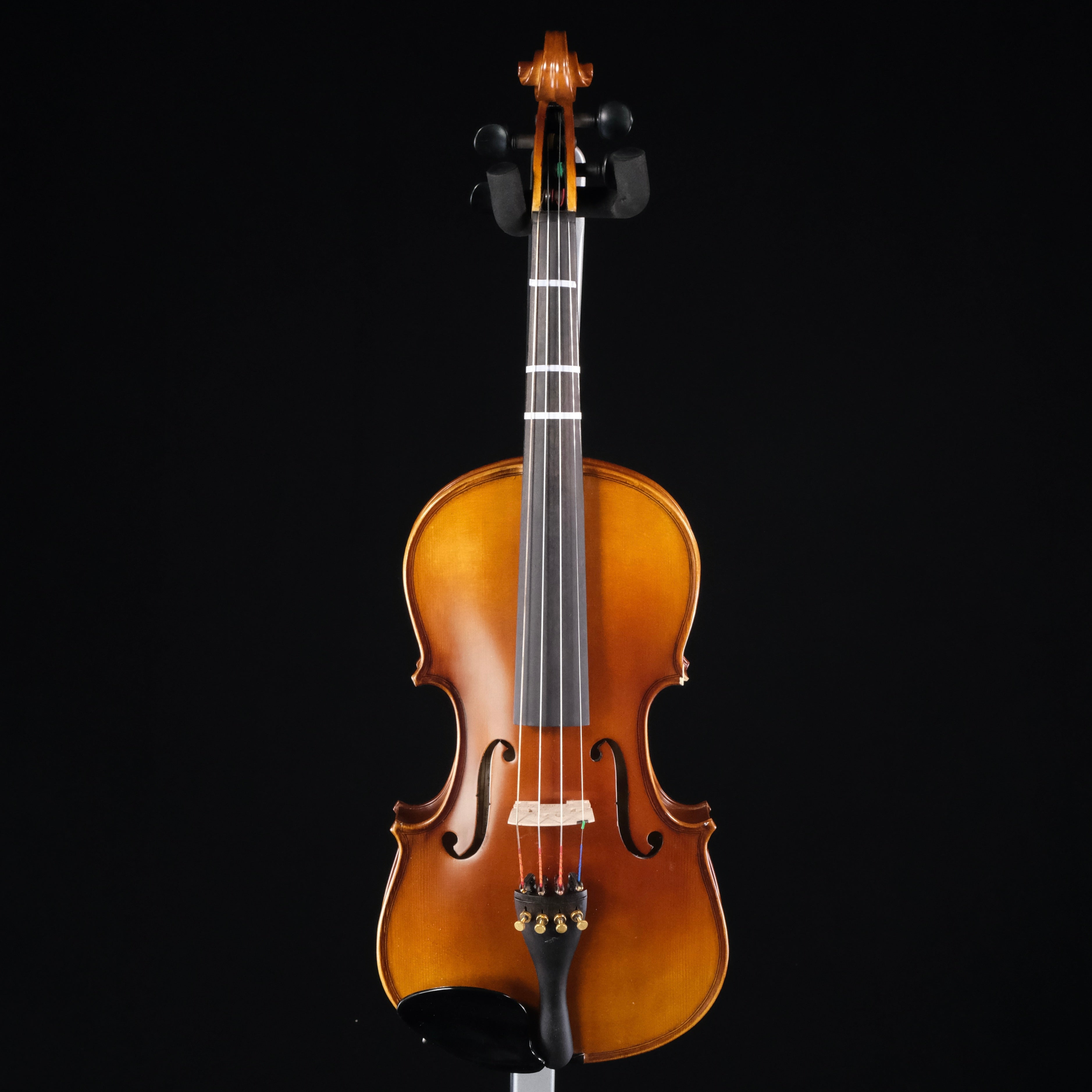 Somerset 4/4 Violin Outfit - Palen Music
