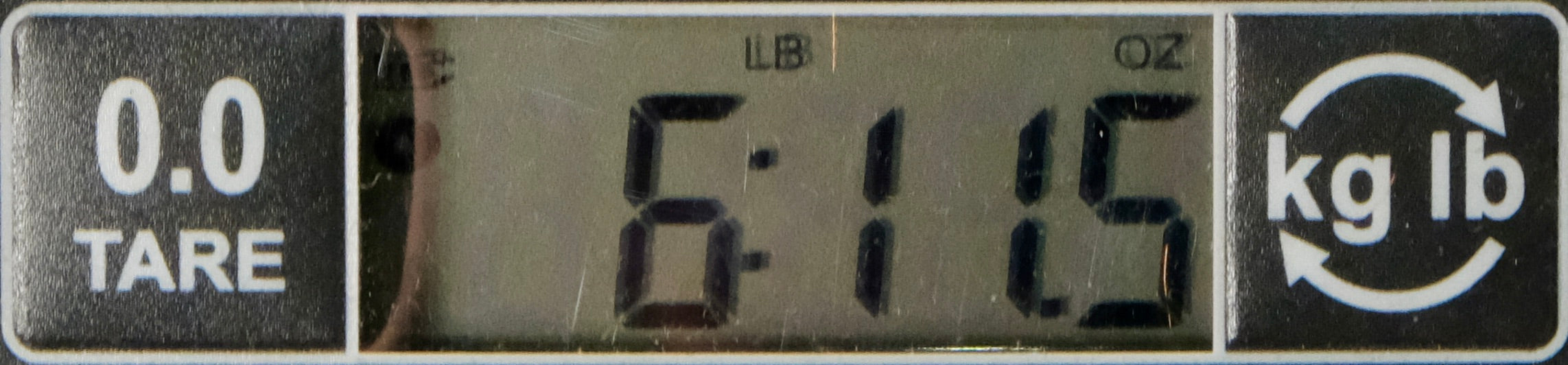 Gibson Custom Shop Kirk Hammett 1979 Flying V - Ebony - Palen Music