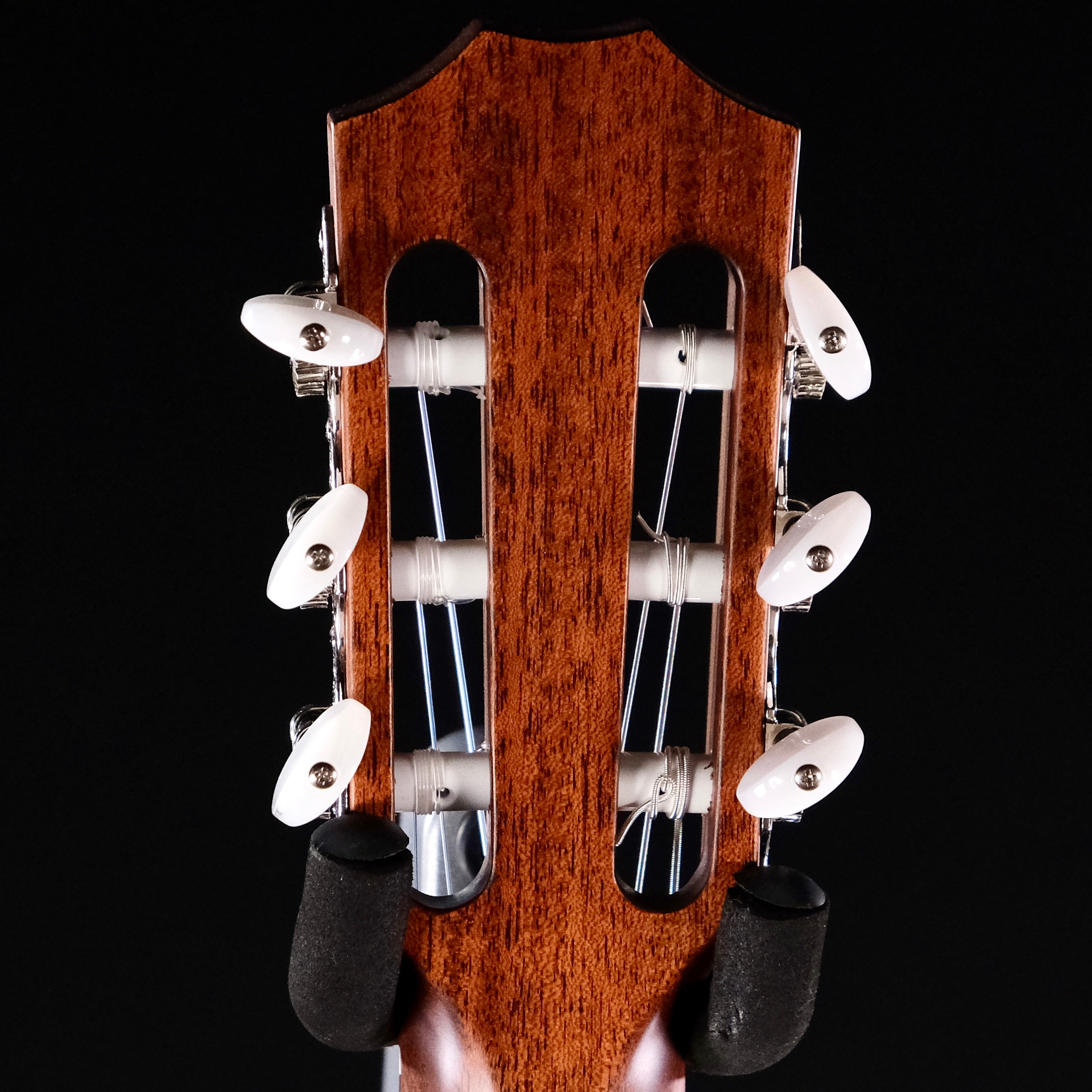 Taylor 314ce Acoustic-electric Guitar - Natural Sapele - Palen Music