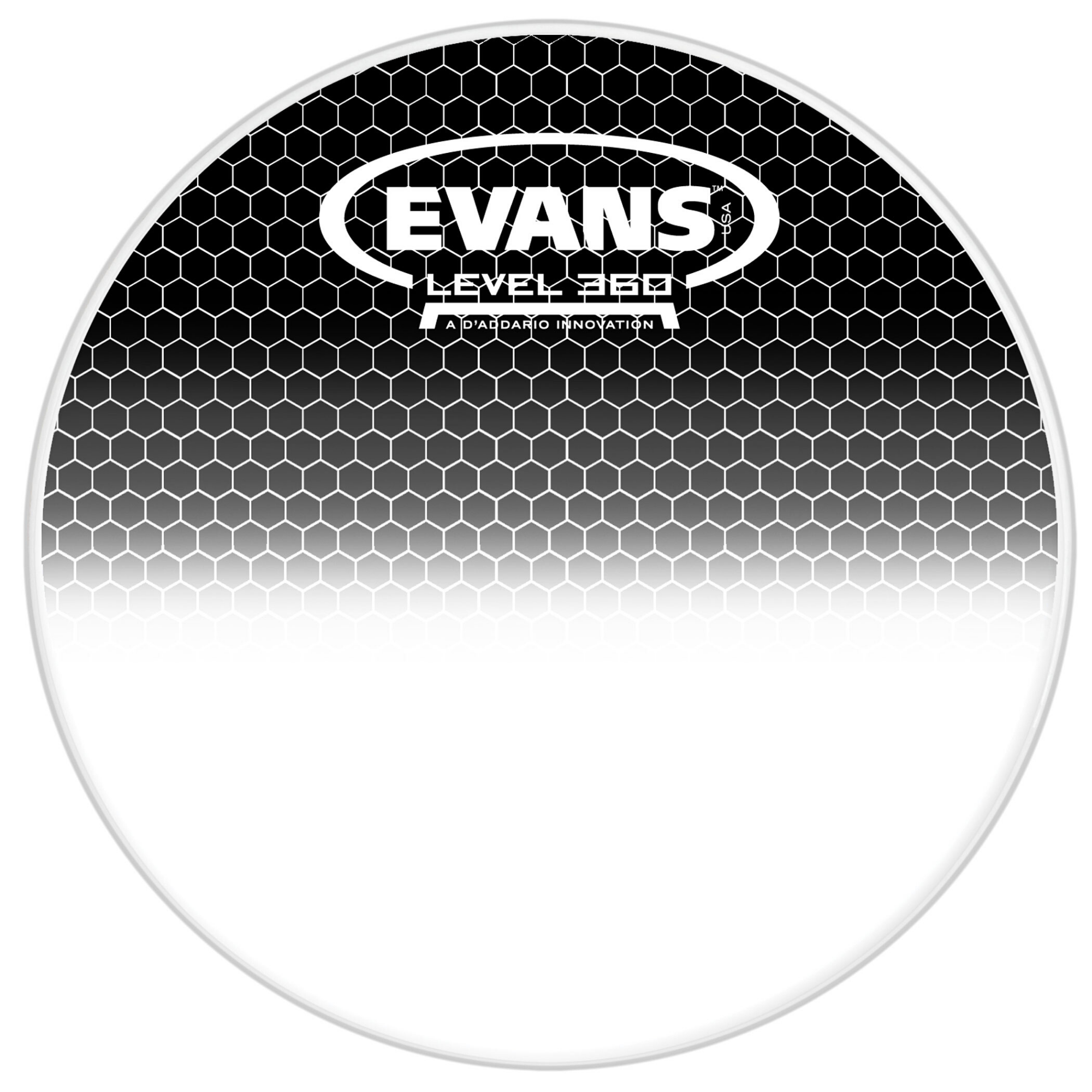 Evans 6" System Blue Marching Tenor Head - Palen Music
