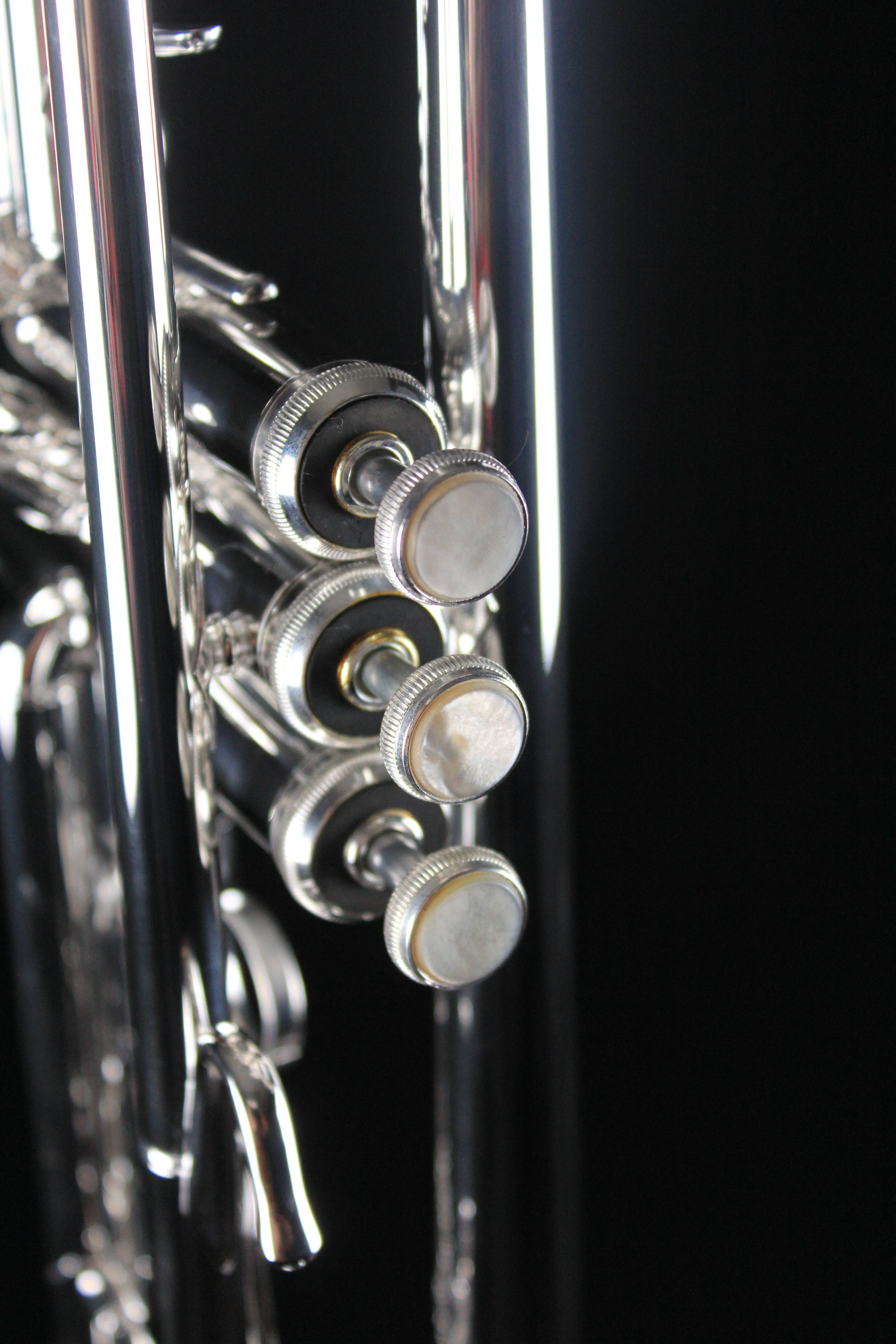 Bach Stradivarius 180S37 Professional Bb Trumpet (Silver Plated) - Palen Music