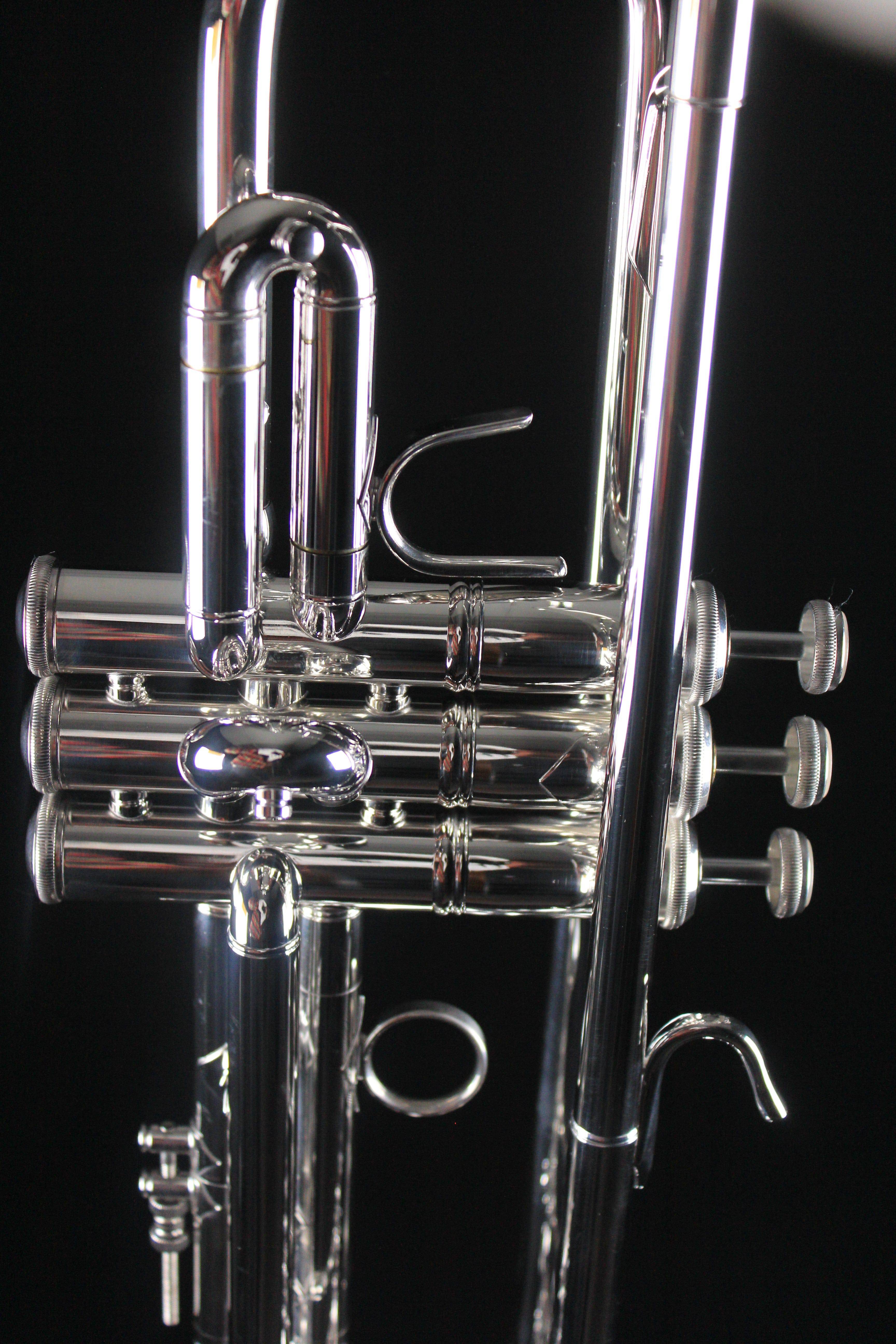 Bach Stradivarius 180S37 Professional Bb Trumpet (Silver Plated) - Palen Music
