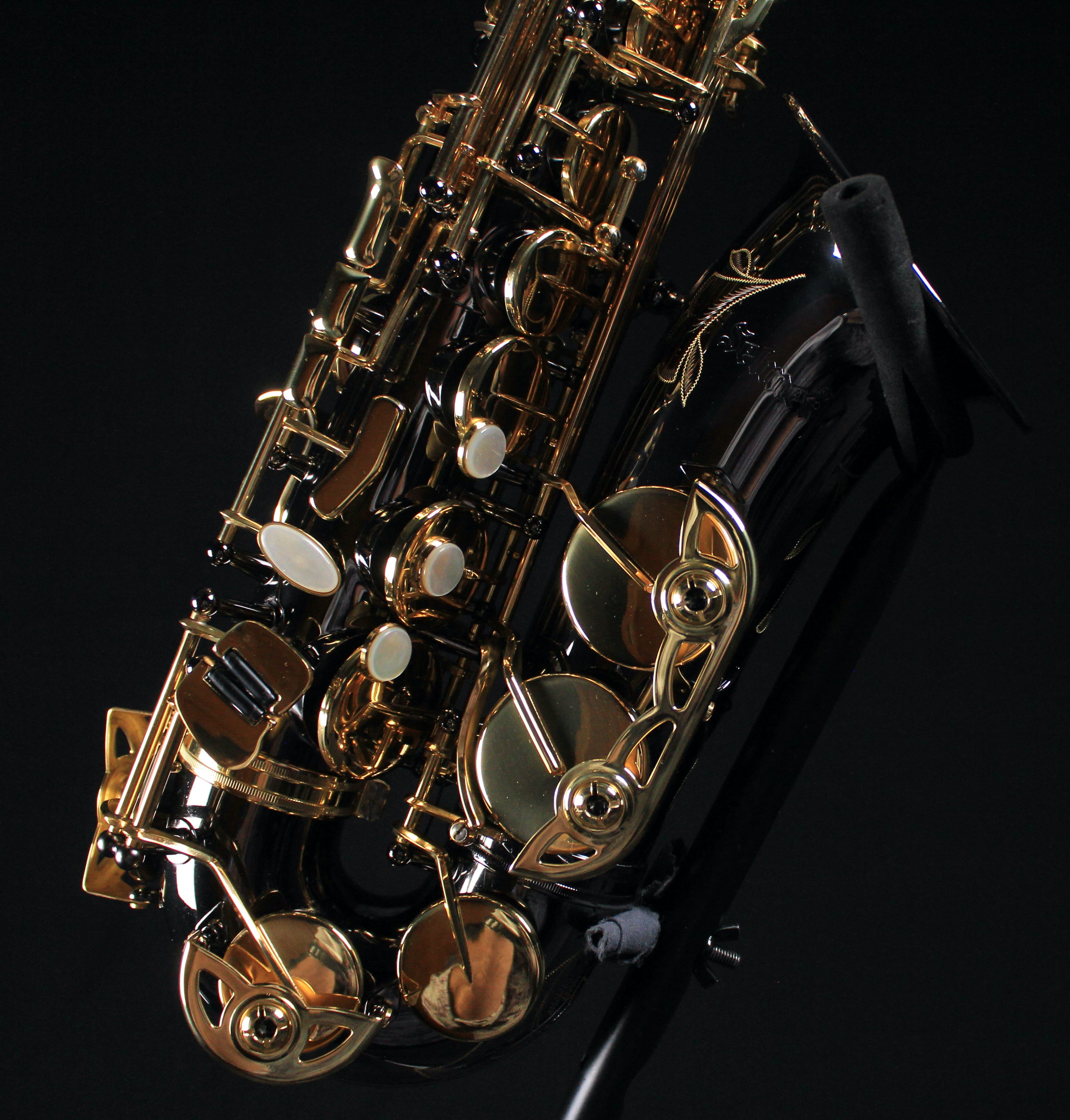 Selmer SAS411B Intermediate Alto Saxophone - Black Nickel Finish - Palen Music