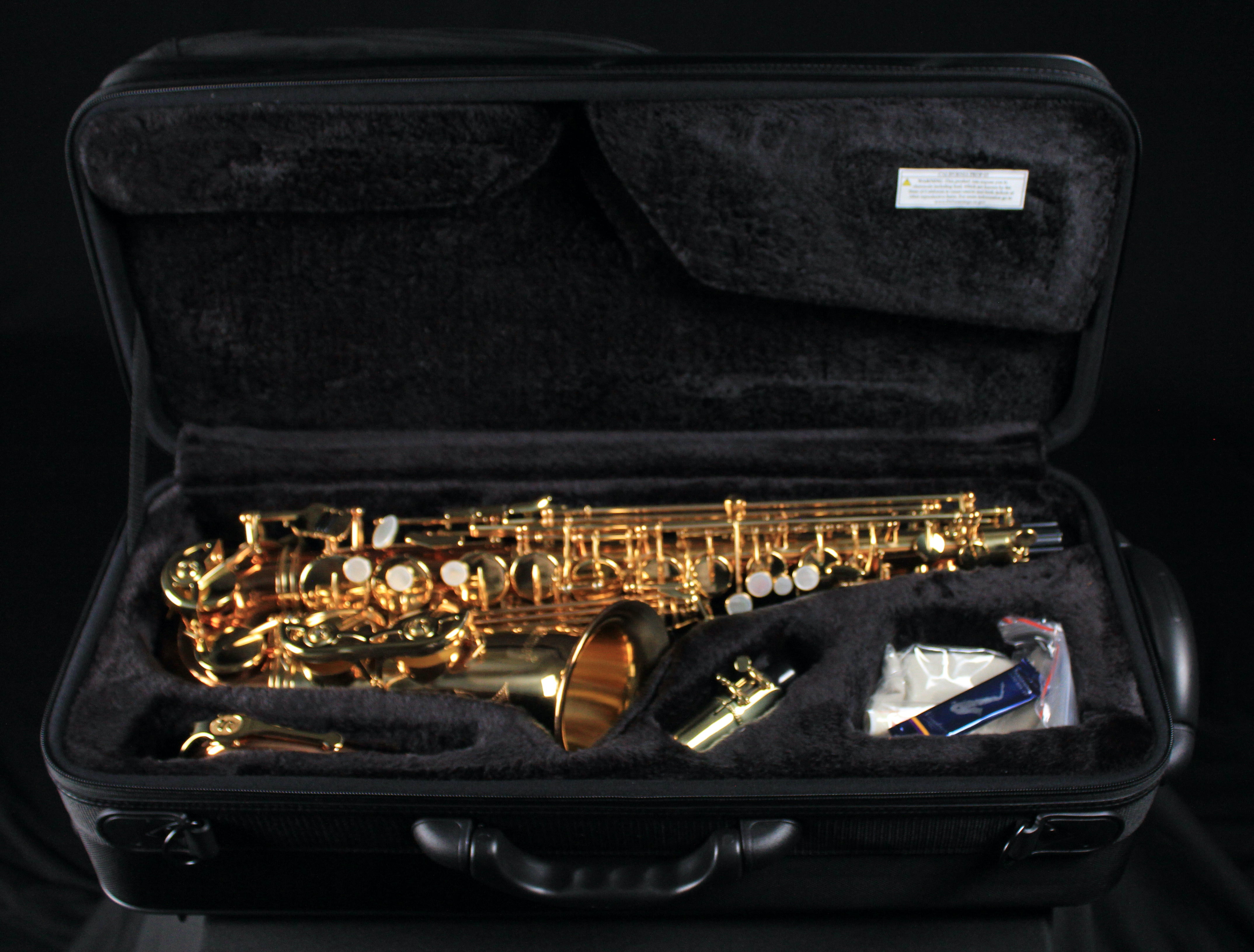 Selmer SAS411C Intermediate Alto Saxophone - Copper Body - Palen Music