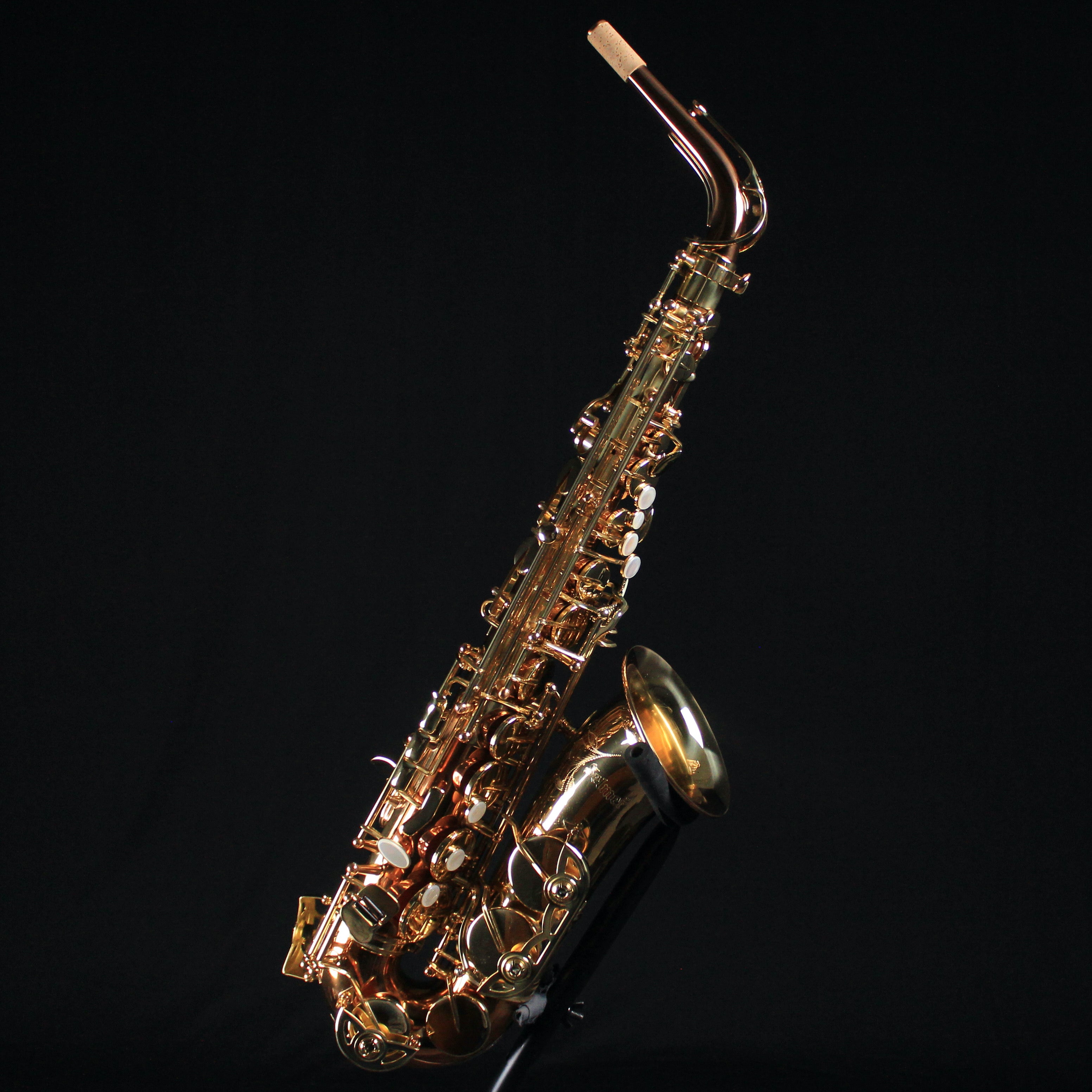 Selmer SAS411C Intermediate Alto Saxophone - Copper Body - Palen Music
