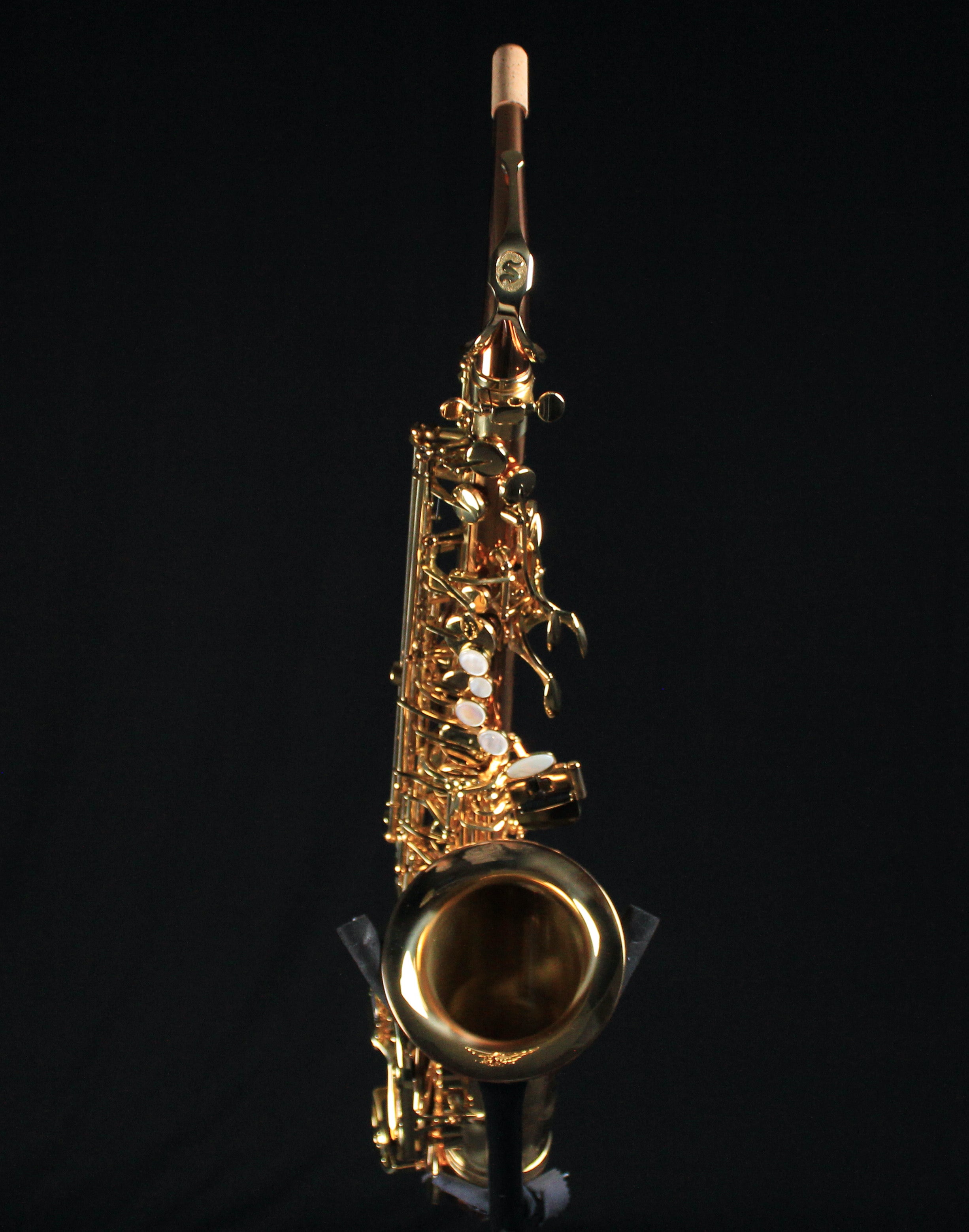 Selmer SAS411C Intermediate Alto Saxophone - Copper Body - Palen Music