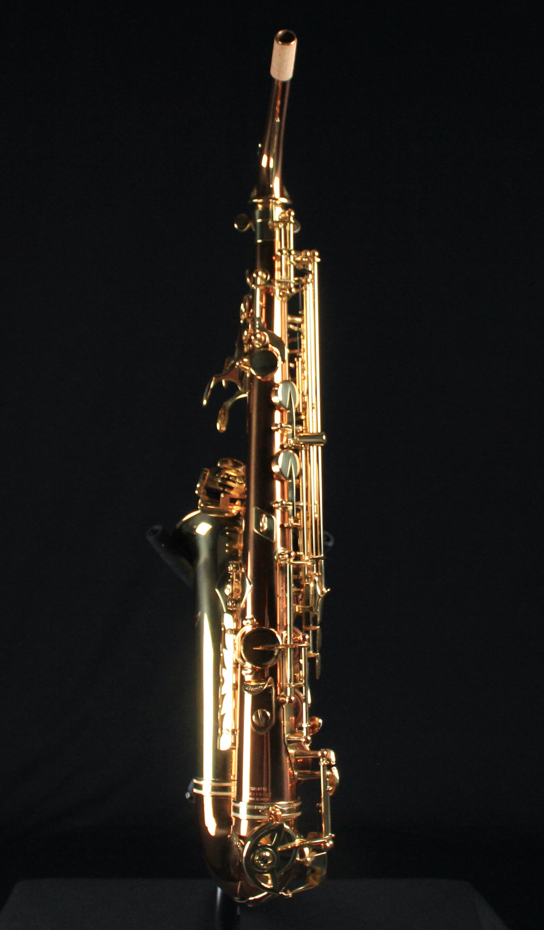 Selmer SAS411C Intermediate Alto Saxophone - Copper Body - Palen Music