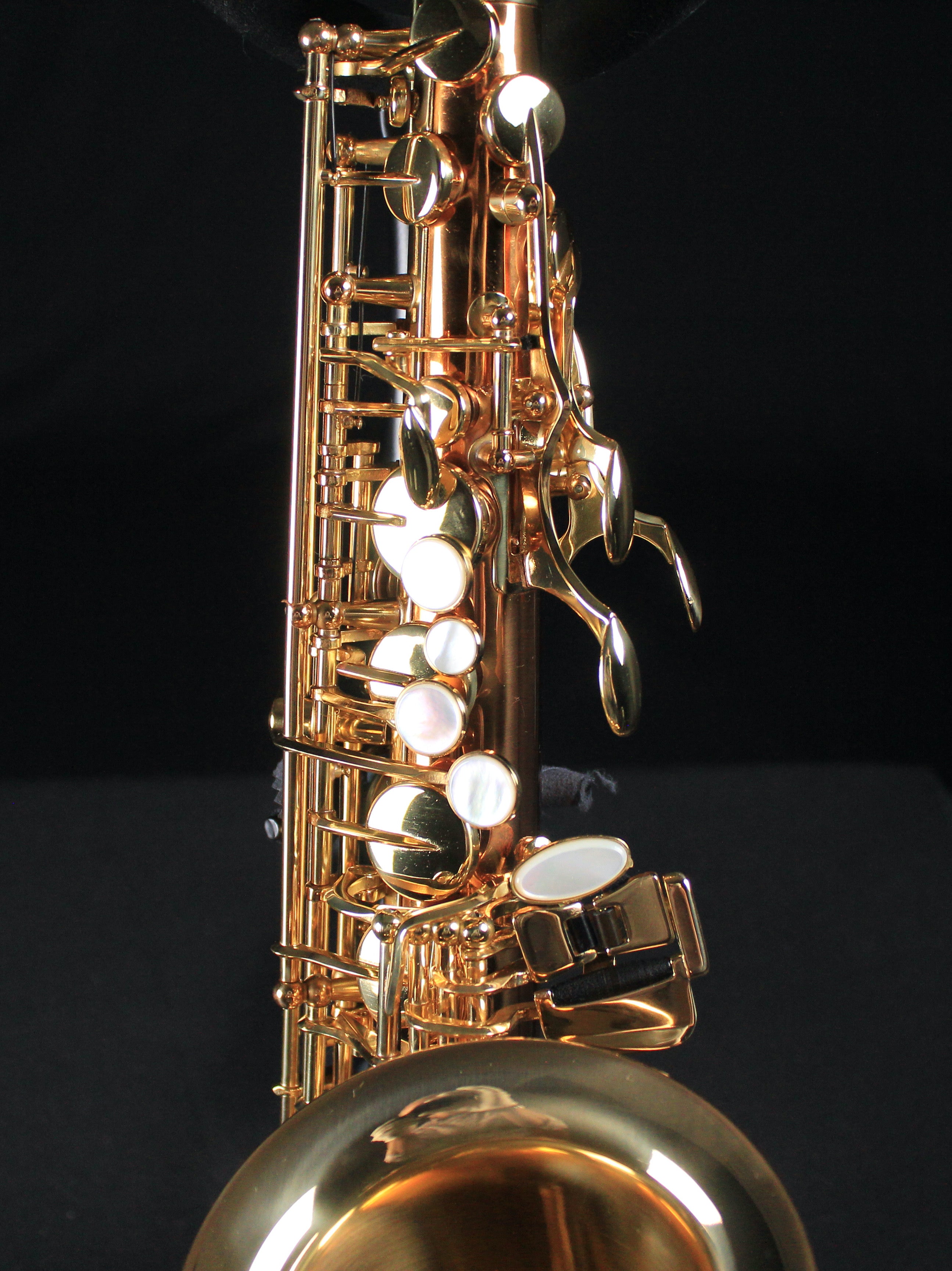 Selmer SAS411C Intermediate Alto Saxophone - Copper Body - Palen Music