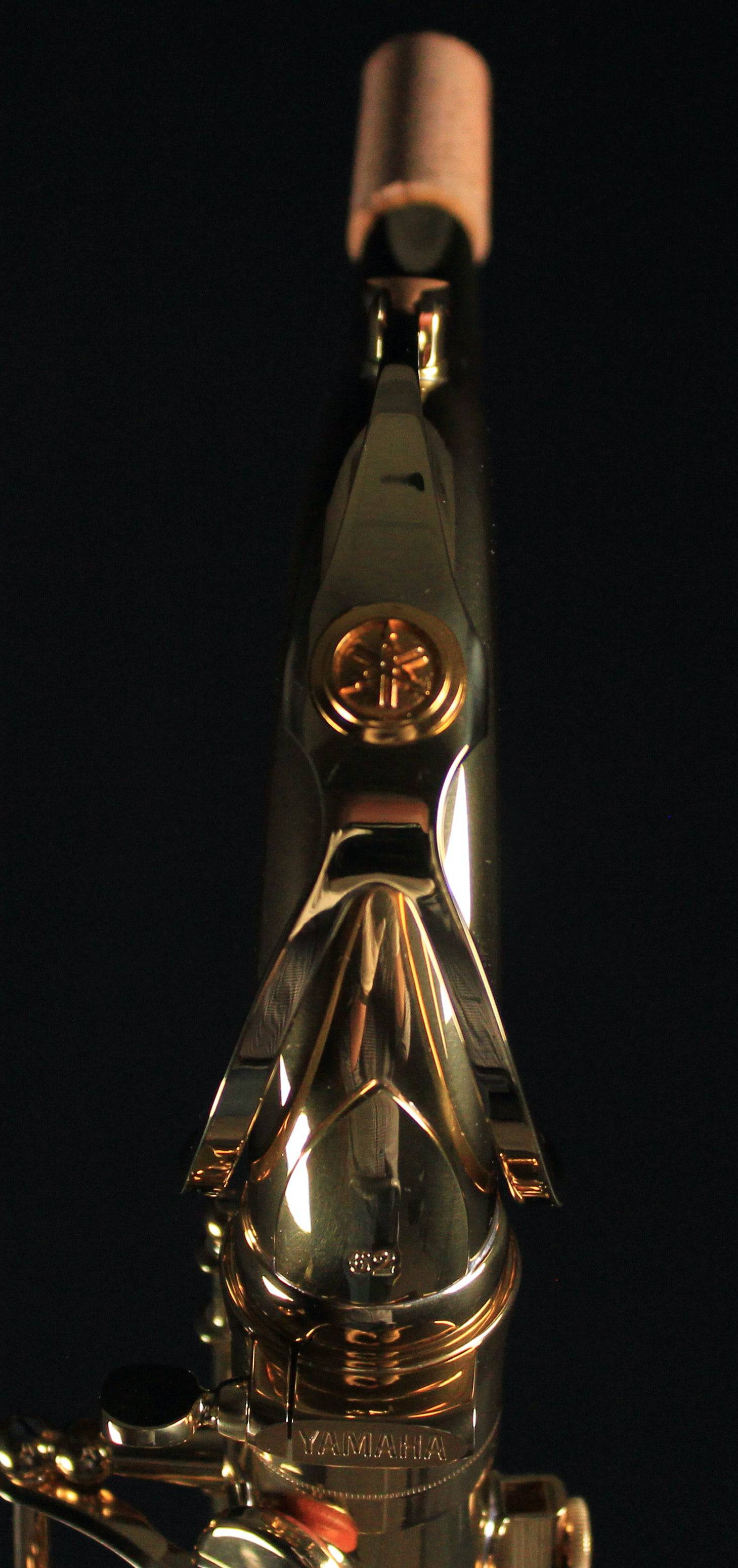 Yamaha YTS-62III Professional Bb Tenor Saxophone (Gold Lacquer) - Palen Music