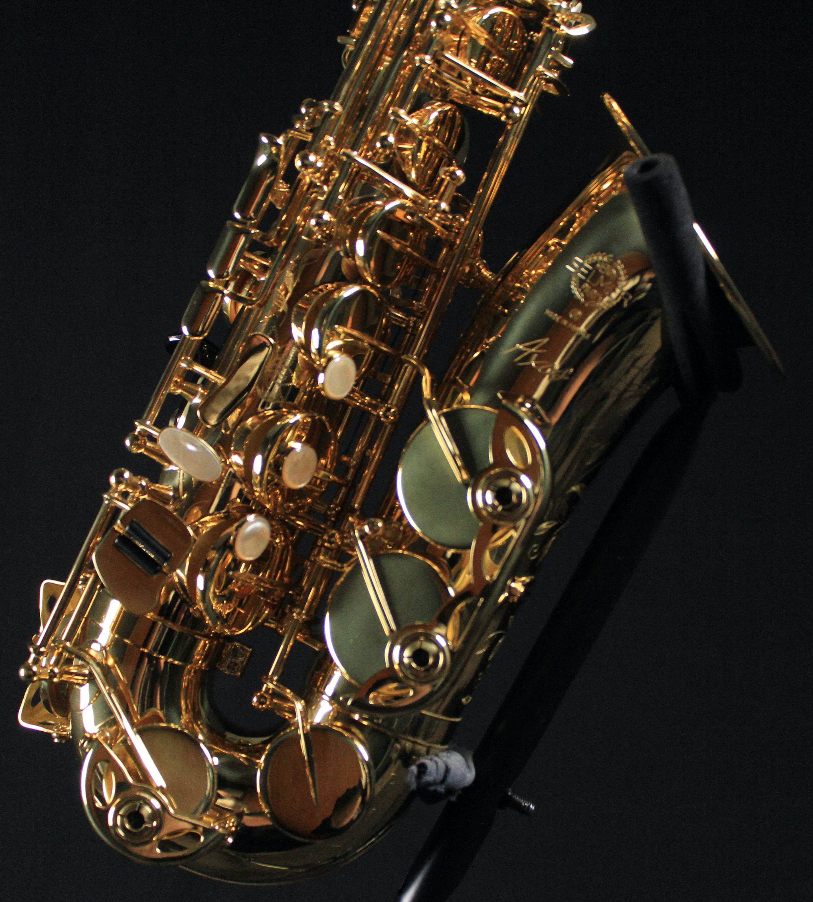 Selmer 52AXOS Professional Eb Alto Saxophone - Palen Music