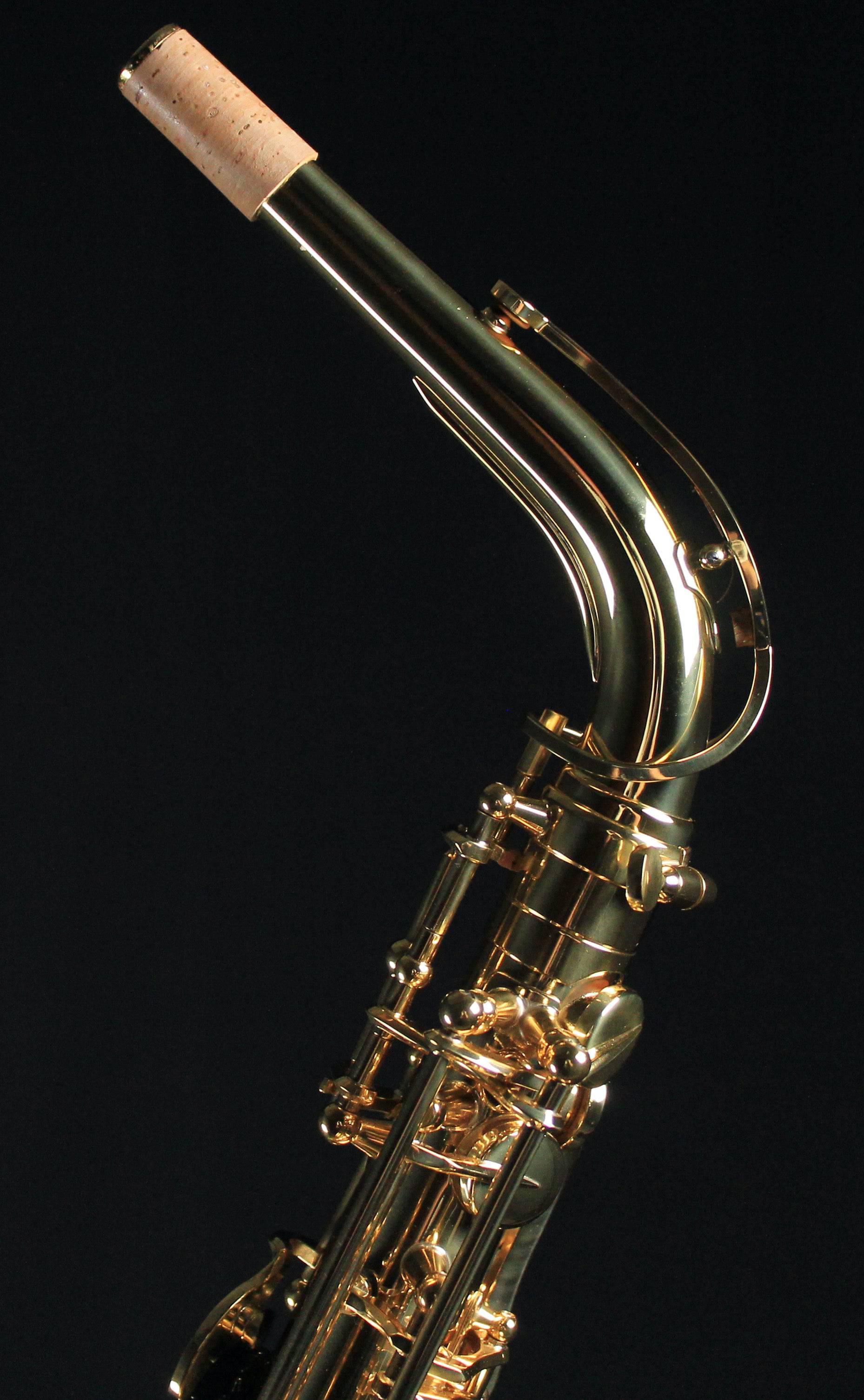 Selmer 52AXOS Professional Eb Alto Saxophone - Palen Music
