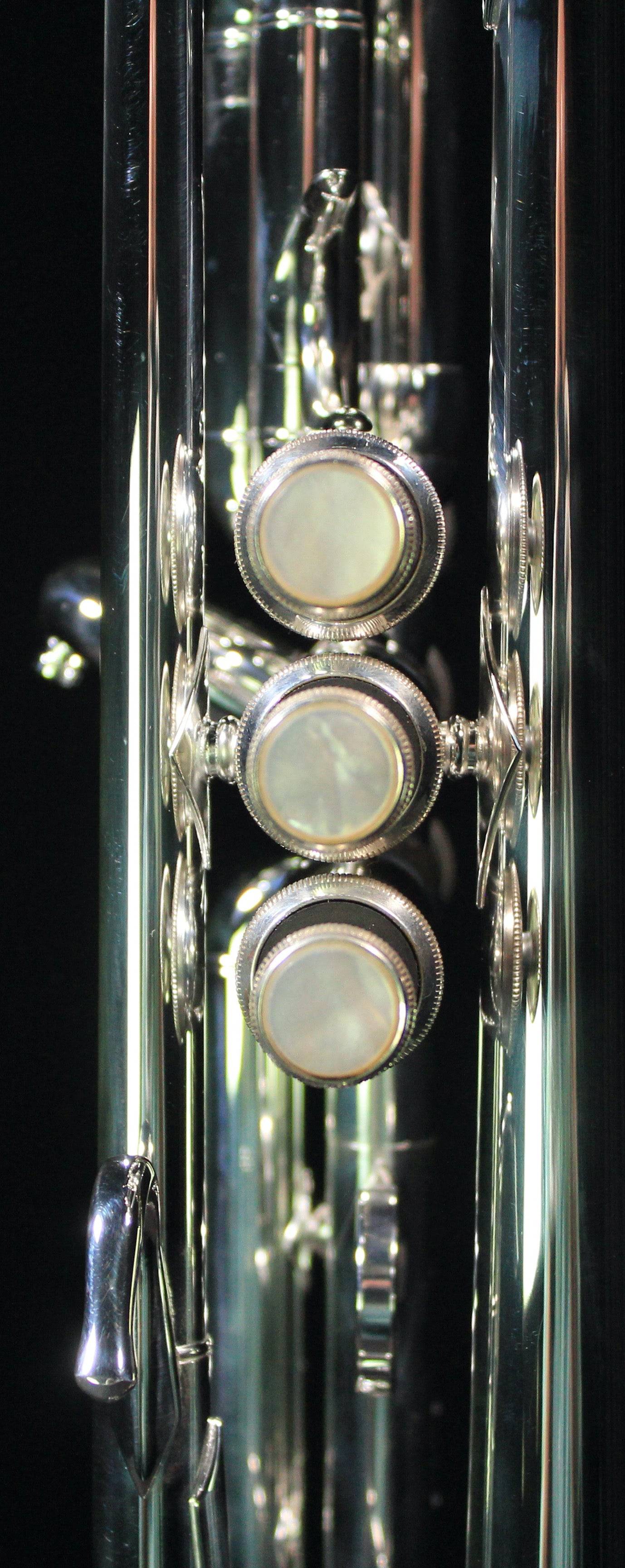 Bach Stradivarius 180S43 Professional Bb Trumpet (Silver Plated) - Palen Music