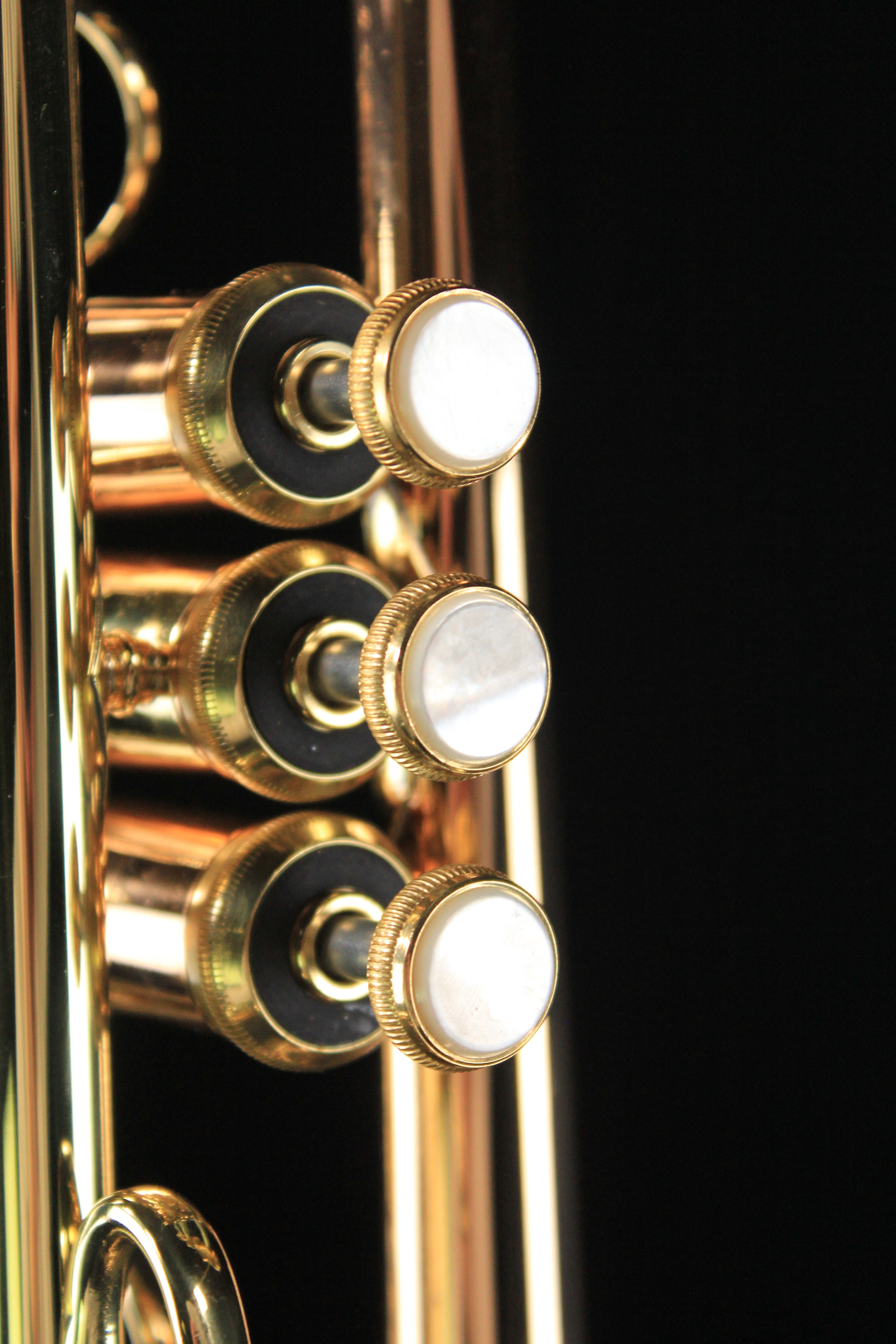 bach lt1901b - Palen Music