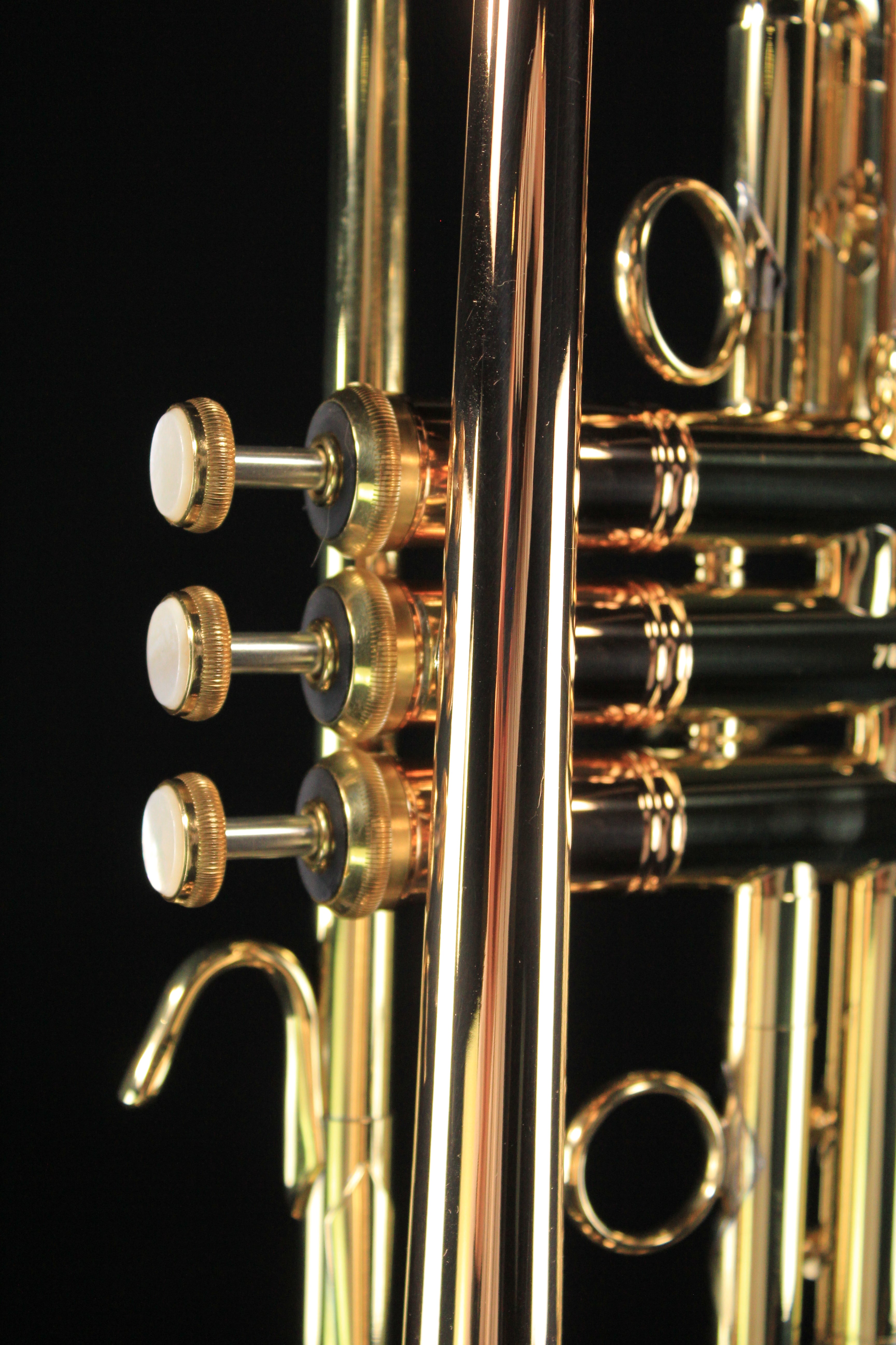 bach lt1901b - Palen Music