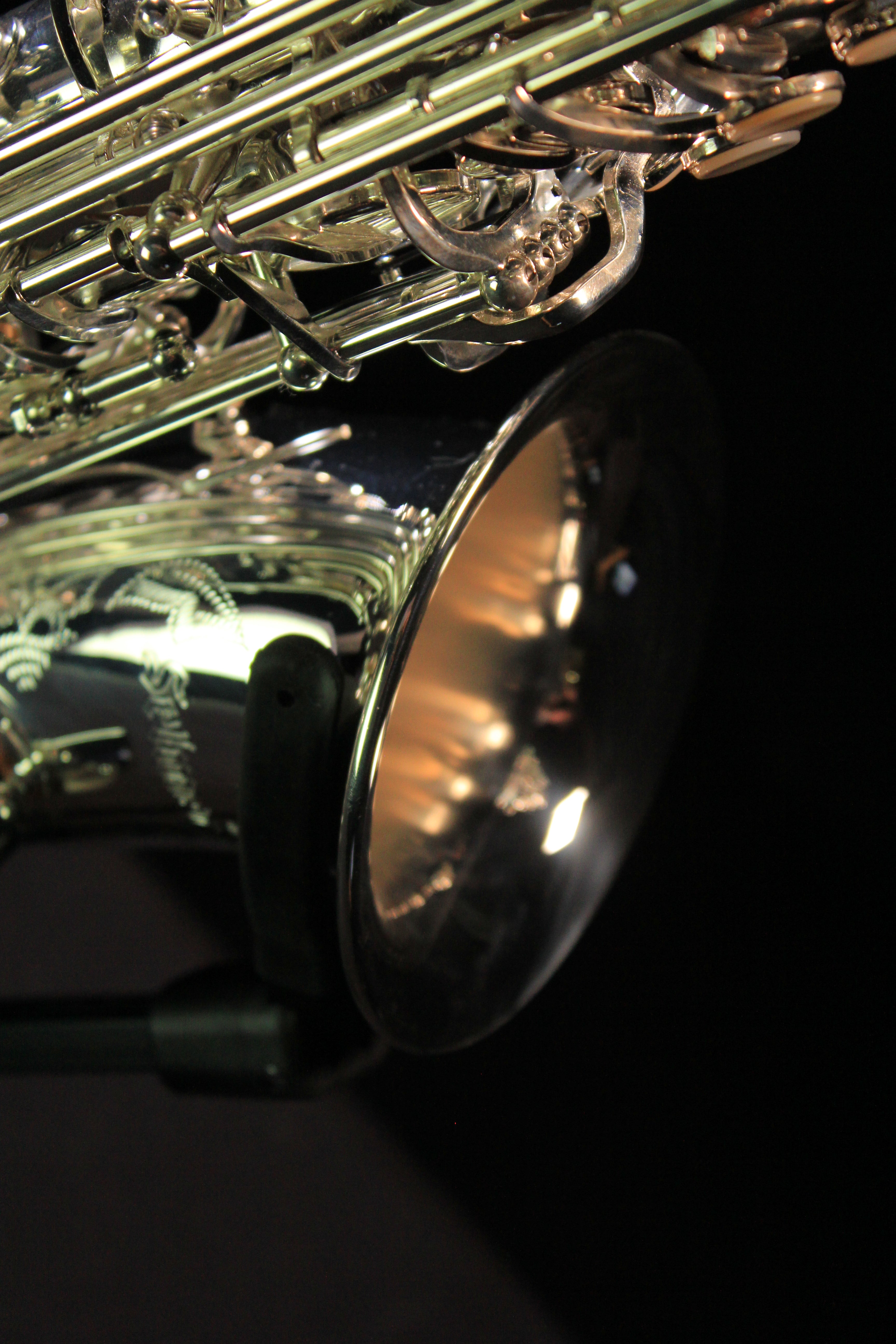 Selmer SAS711S Alto Saxophone (Silver Plated) - Palen Music