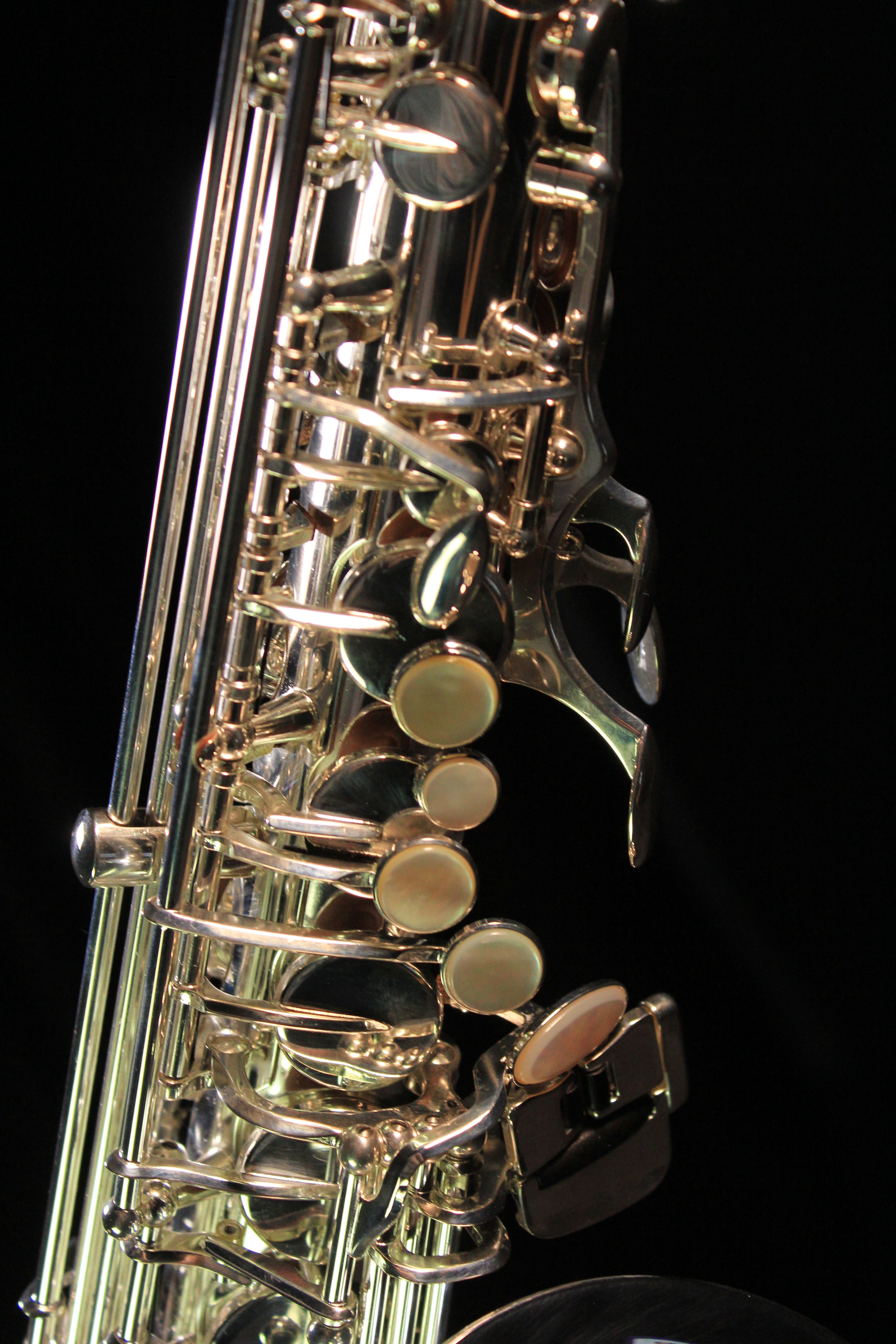 Selmer SAS711S Alto Saxophone (Silver Plated) - Palen Music