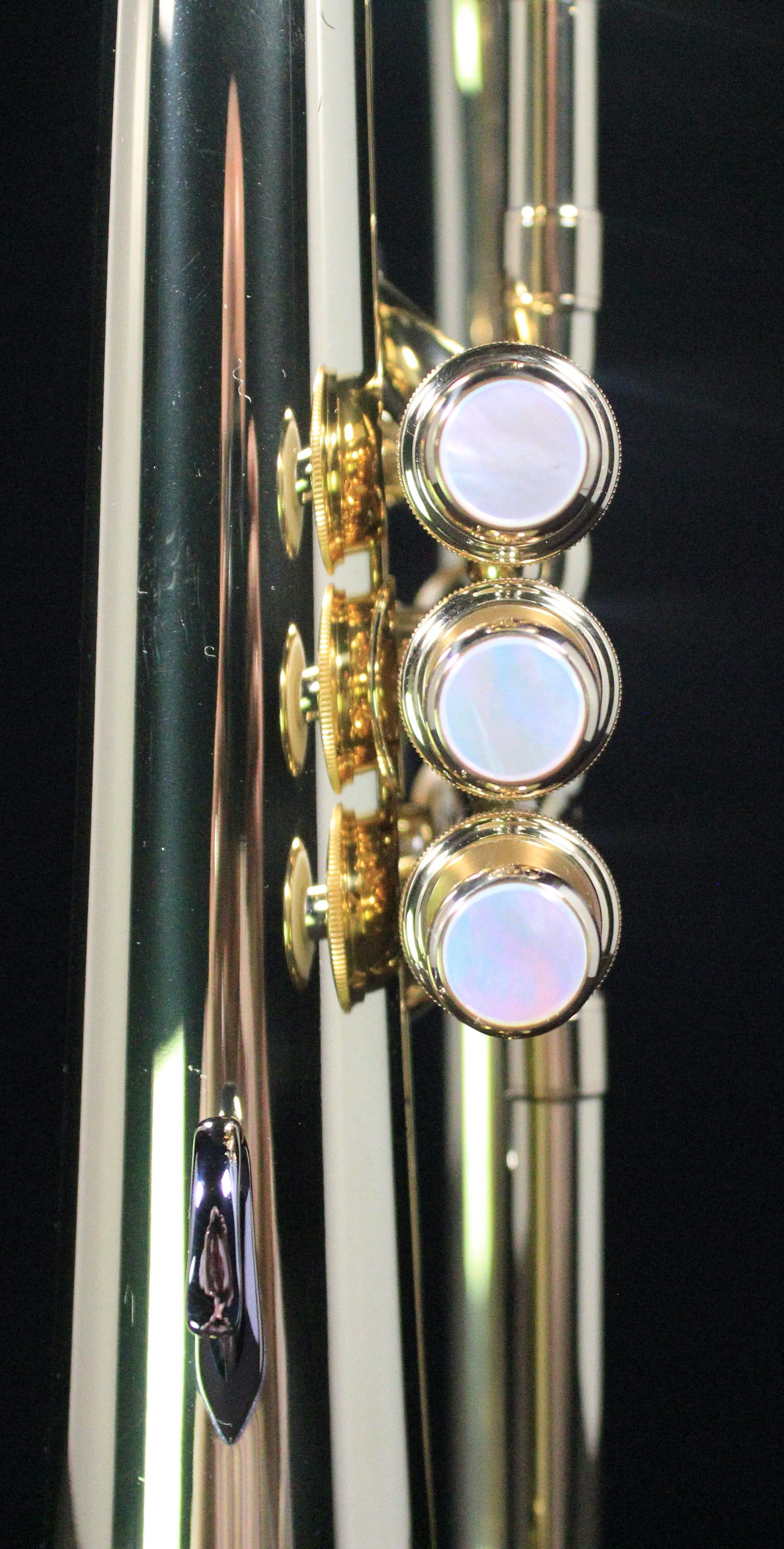 Yamaha YFH-8310Z Custom Z Professional Flugelhorn (Clear Lacquer) - Palen Music