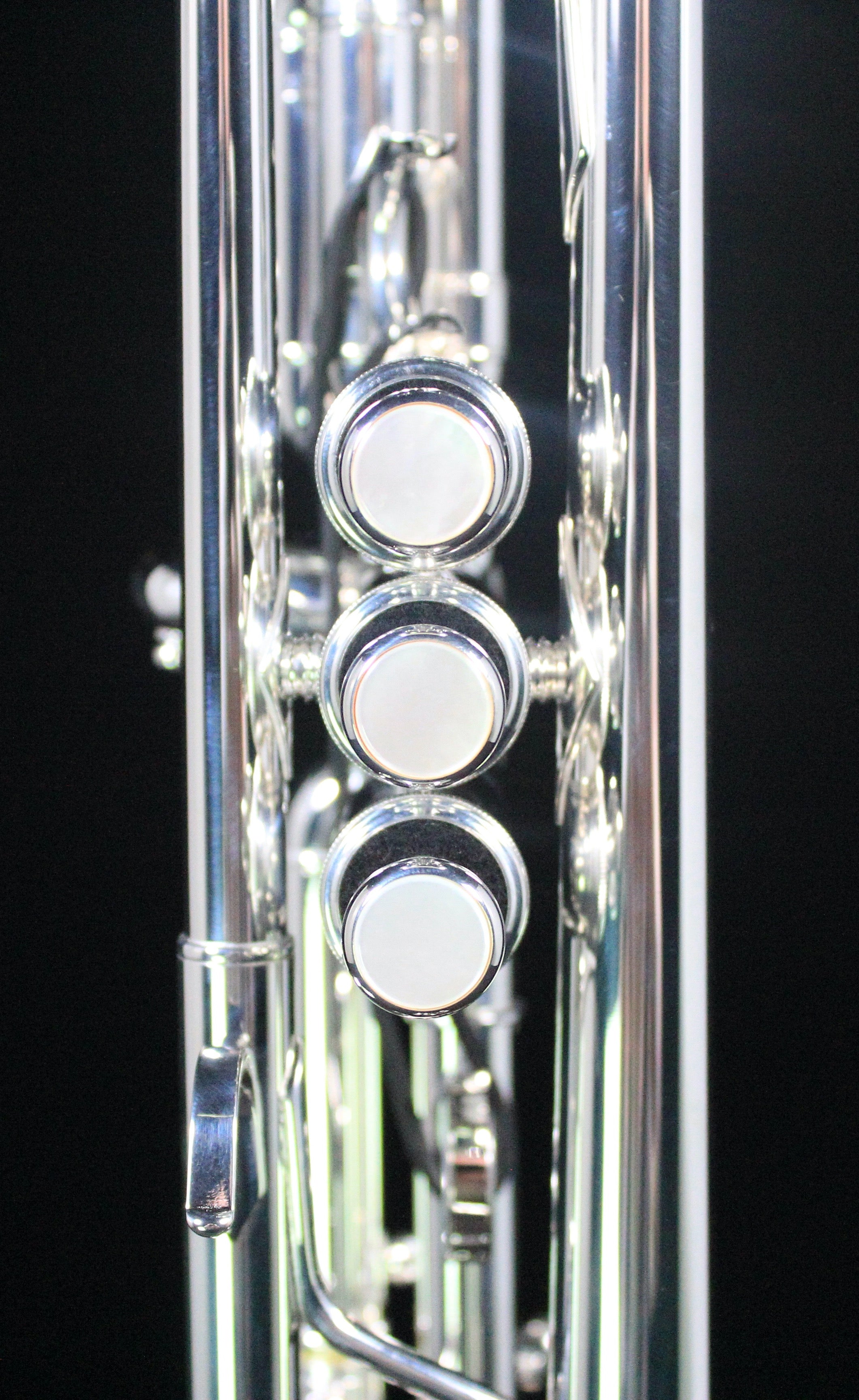 Yamaha YTR-8445IIS Custom Xeno C Trumpet (Silver Plated) - Palen Music