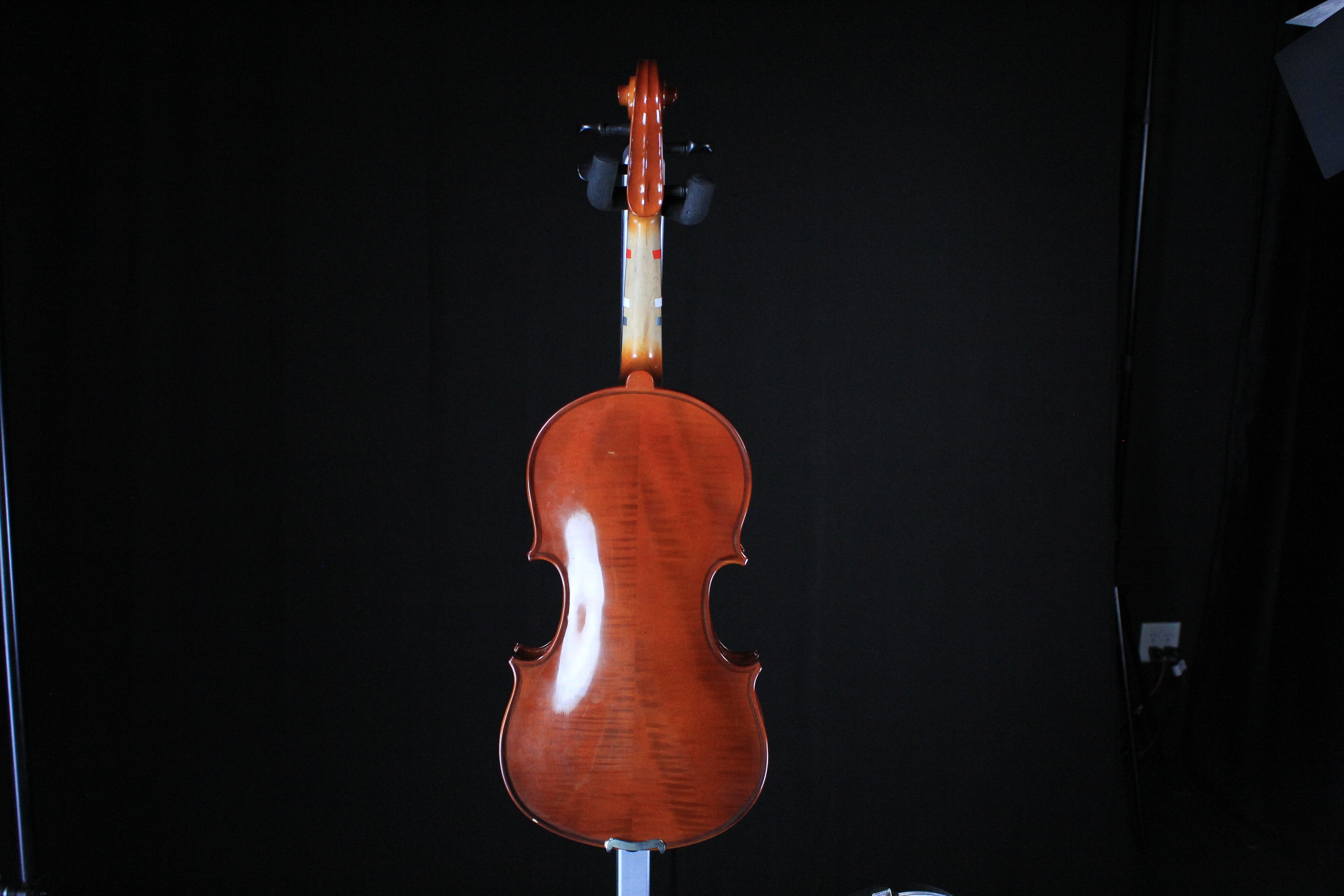 13" Student Viola Outfit - Palen Music