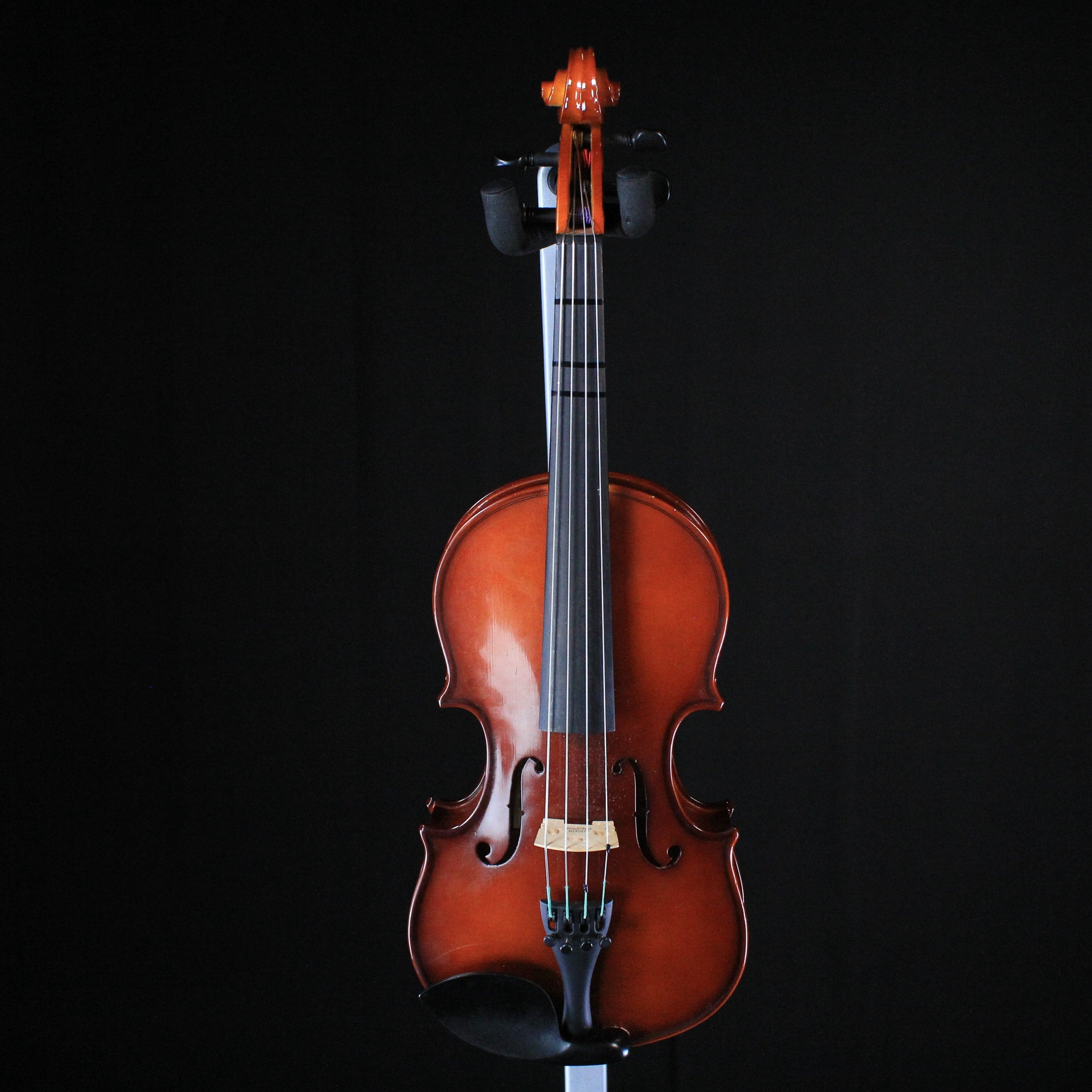 USED Scherl & Roth 13" Student Viola Outfit - Palen Music