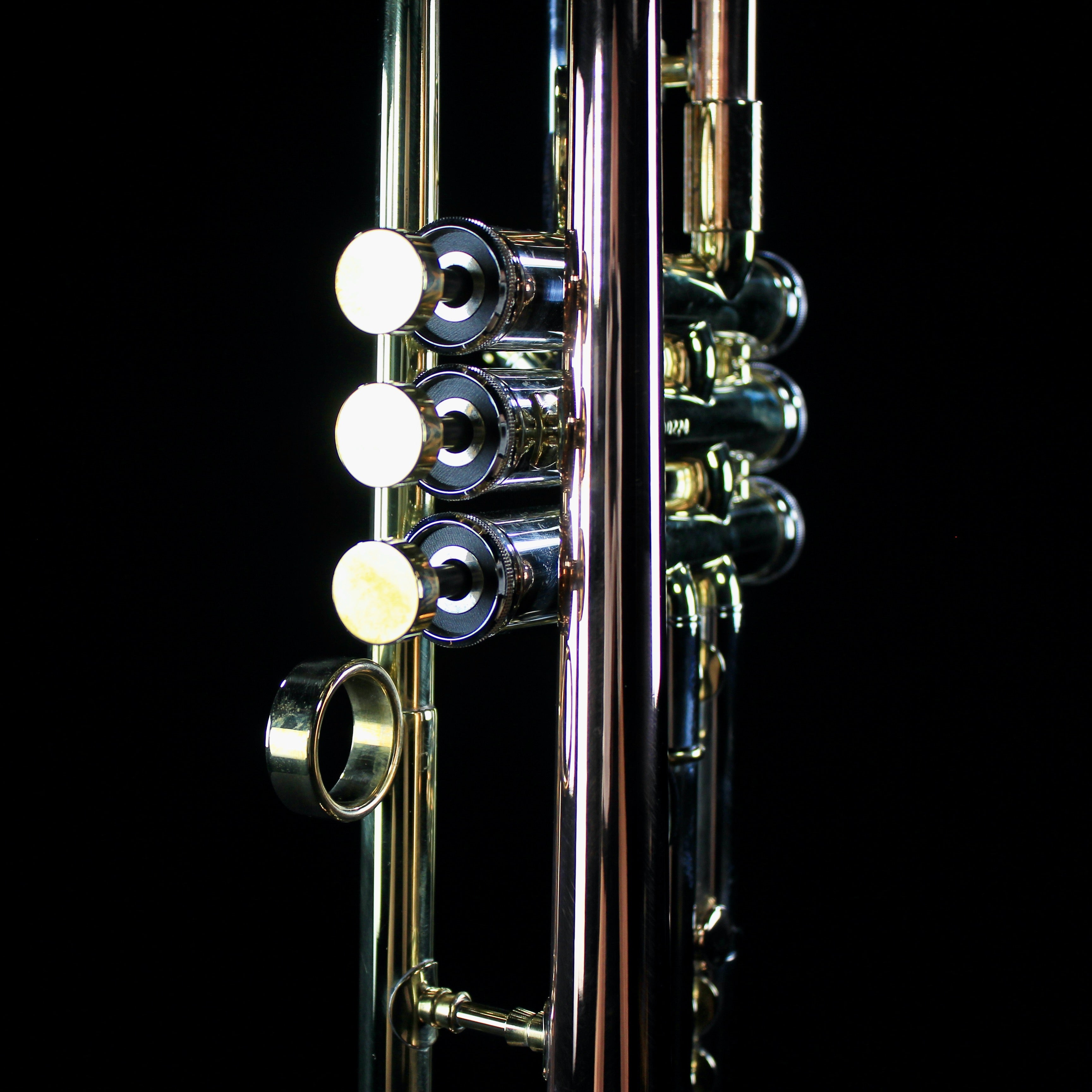 Del Quadro "The Grizzly" Custom Bb Trumpet - DQG - Palen Music