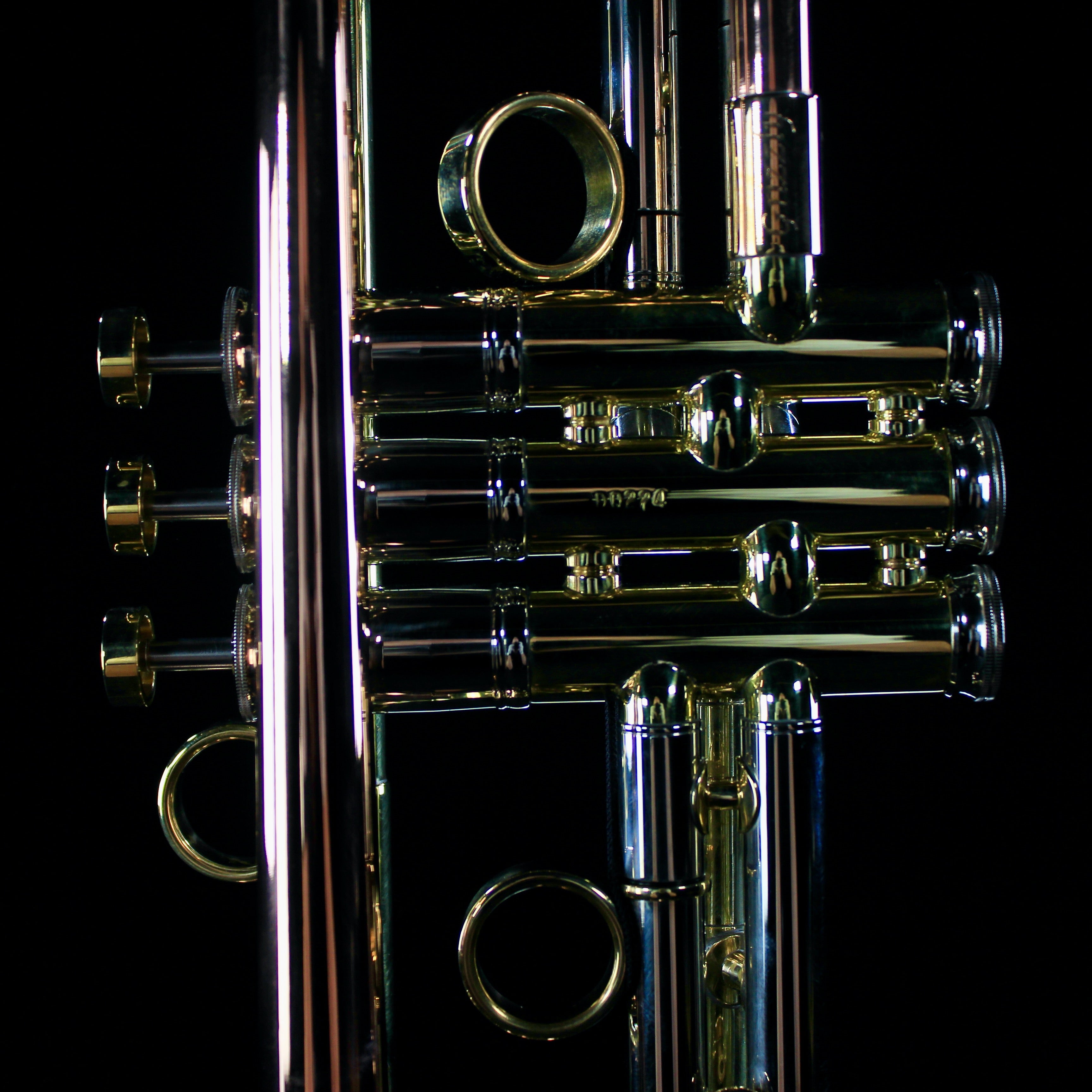 Del Quadro "The Grizzly" Custom Bb Trumpet - DQG - Palen Music
