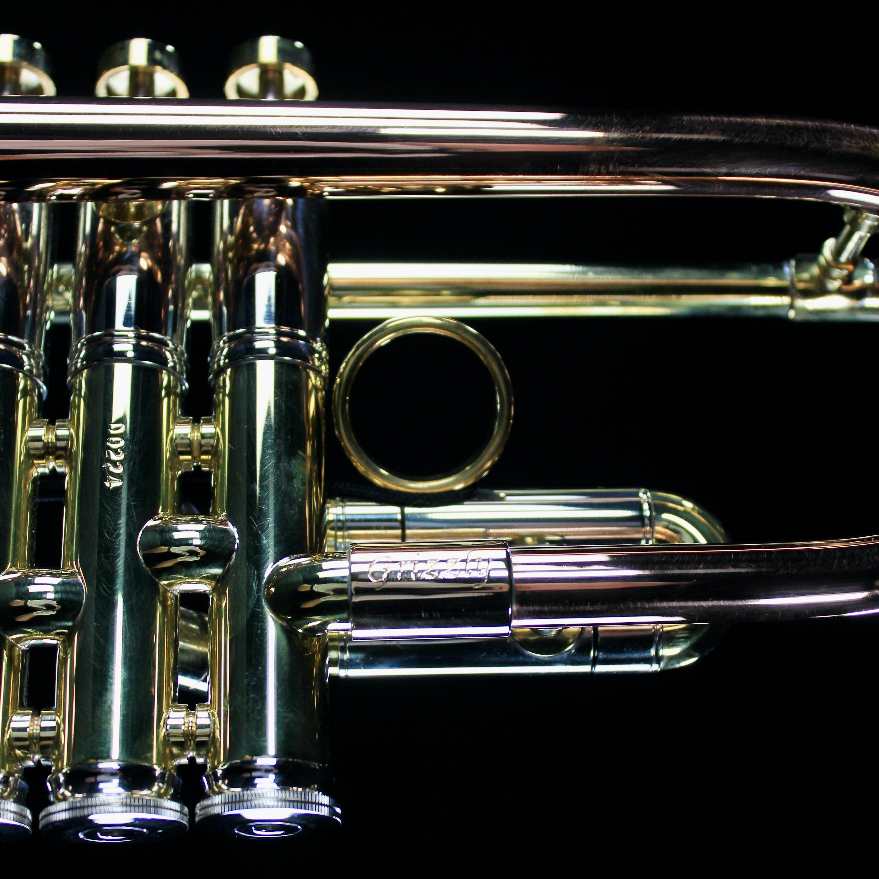 Del Quadro "The Grizzly" Custom Bb Trumpet - DQG - Palen Music