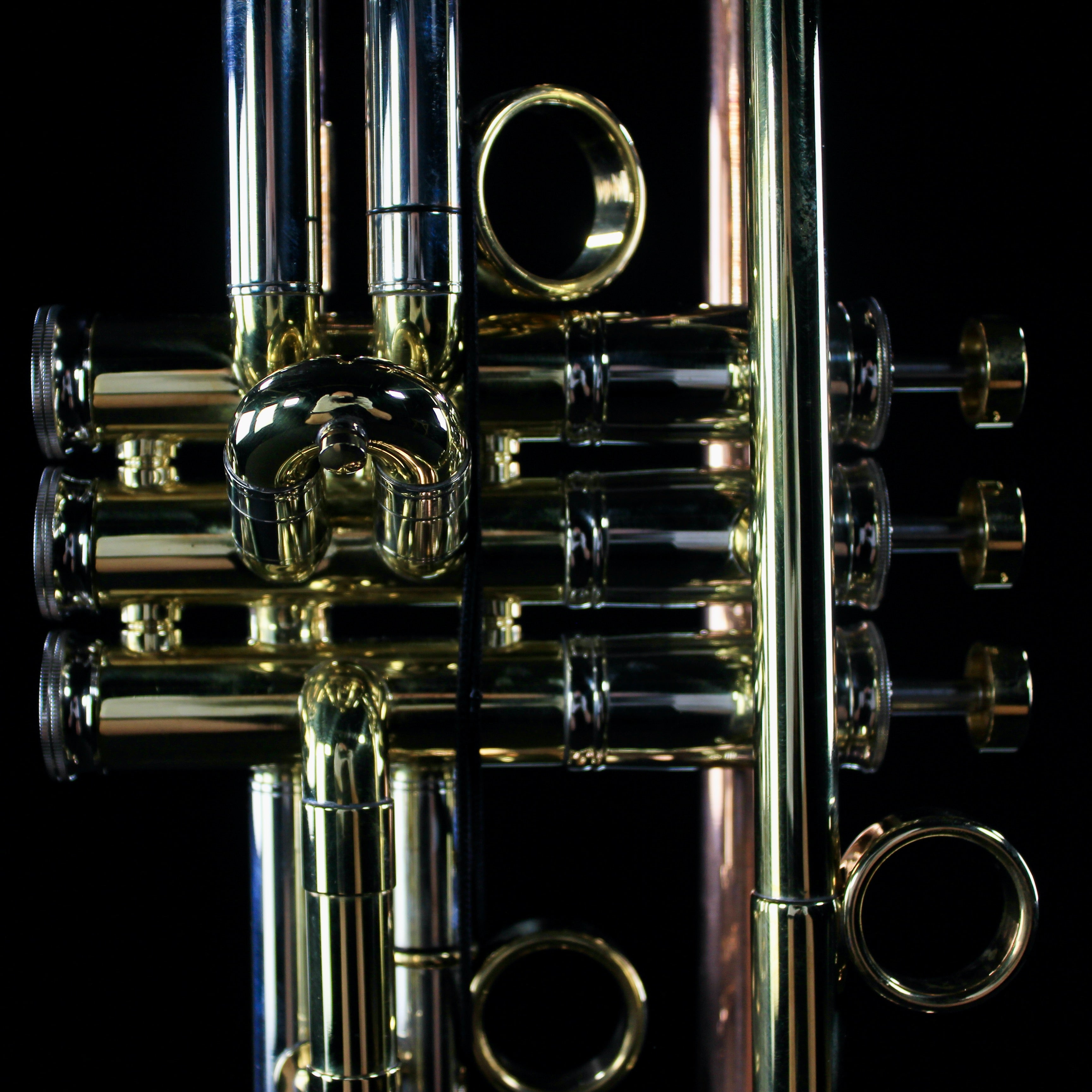 Del Quadro "The Grizzly" Custom Bb Trumpet - DQG - Palen Music