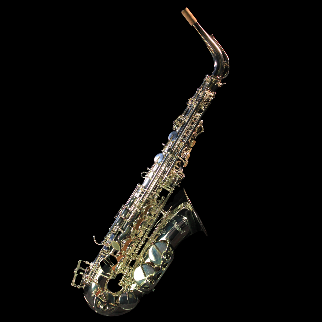 Selmer SAS711S Alto Saxophone (Silver Plated) - Palen Music