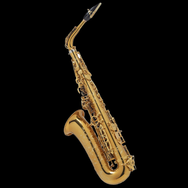 Henri SELMER Paris - Care kit for alto saxophone
