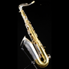 Rampone & Cazzani Two Voices Tenor Saxophone (Solid Sterling Silver & Brass) - Palen Music