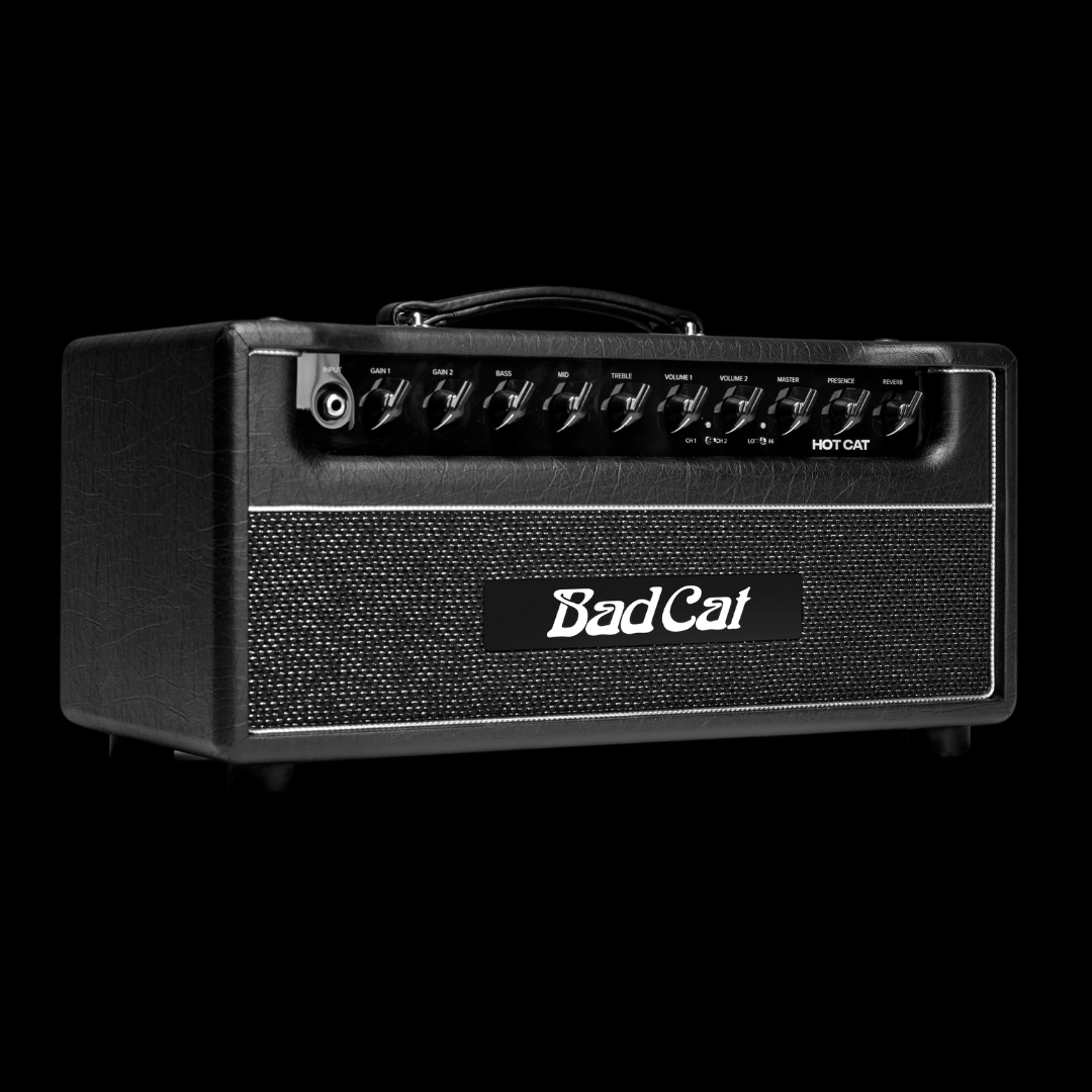 Bad Cat Hot Cat 45 Watt Head - Palen Music