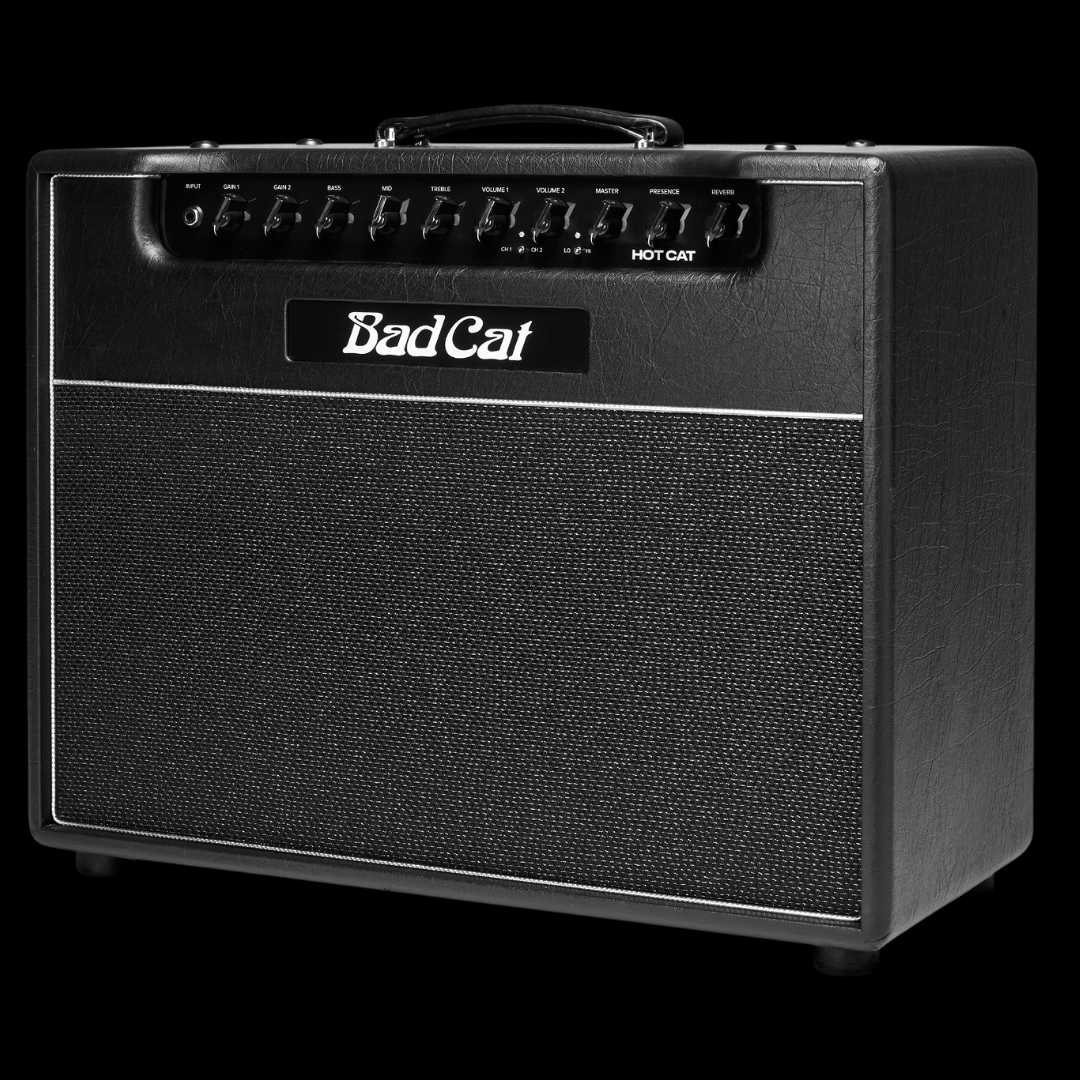 Bad Cat Hot Cat 45 Watt 1 x 12 Combo - Palen Music