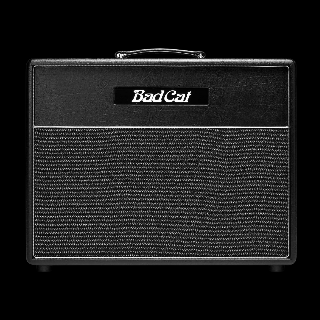 Bad Cat Hot Cat 1x12 Extension Cabinet - Palen Music