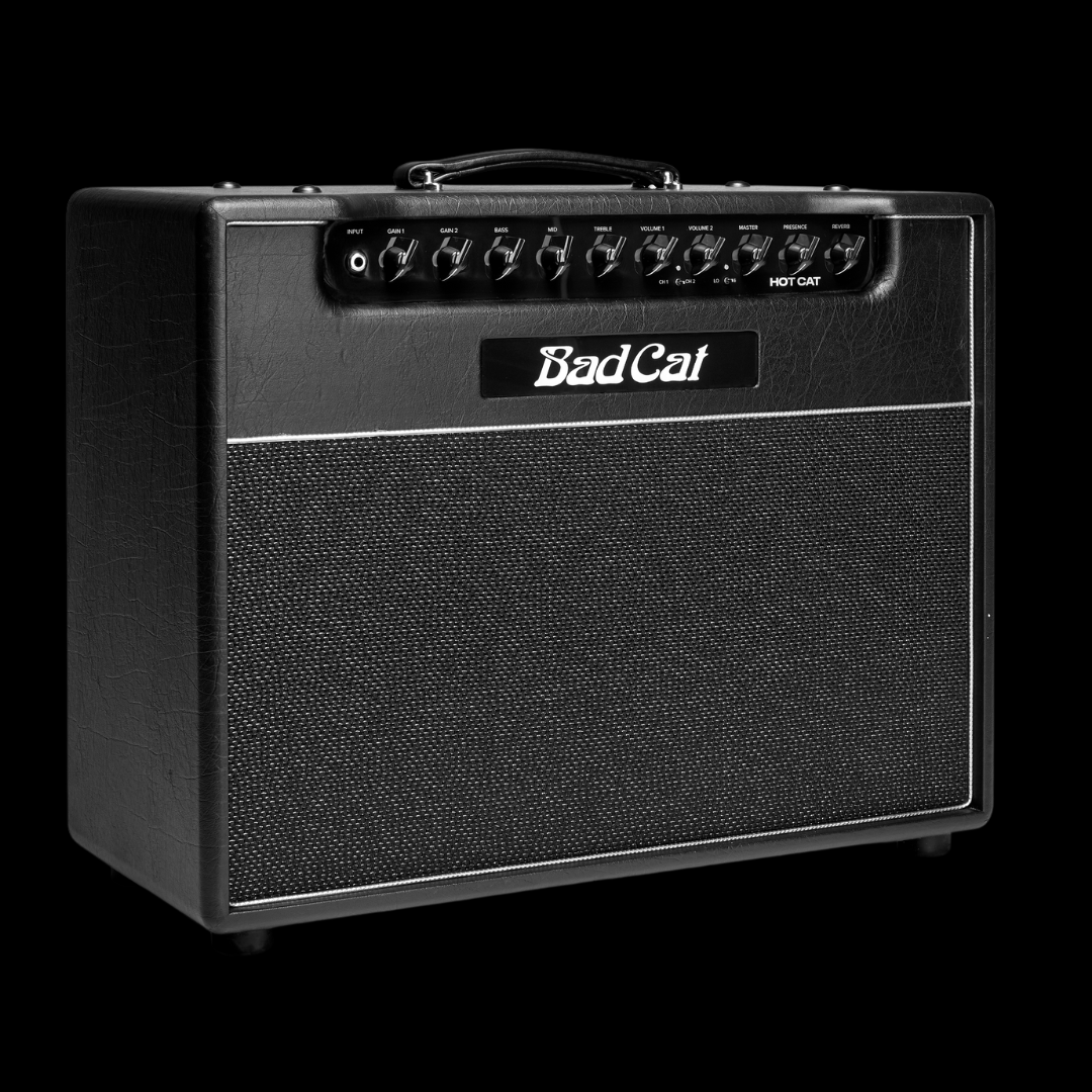 Bad Cat Hot Cat 45 Watt 1 x 12 Combo - Palen Music