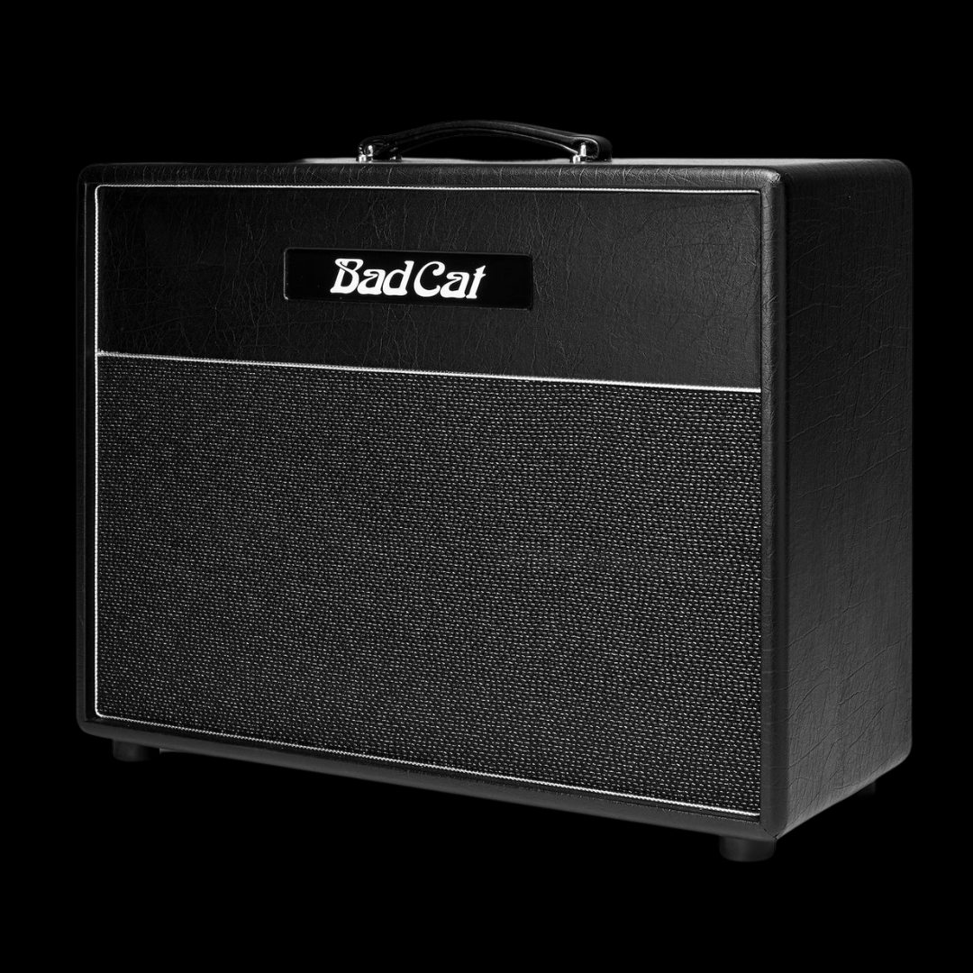 Bad Cat Hot Cat 1x12 Extension Cabinet - Palen Music